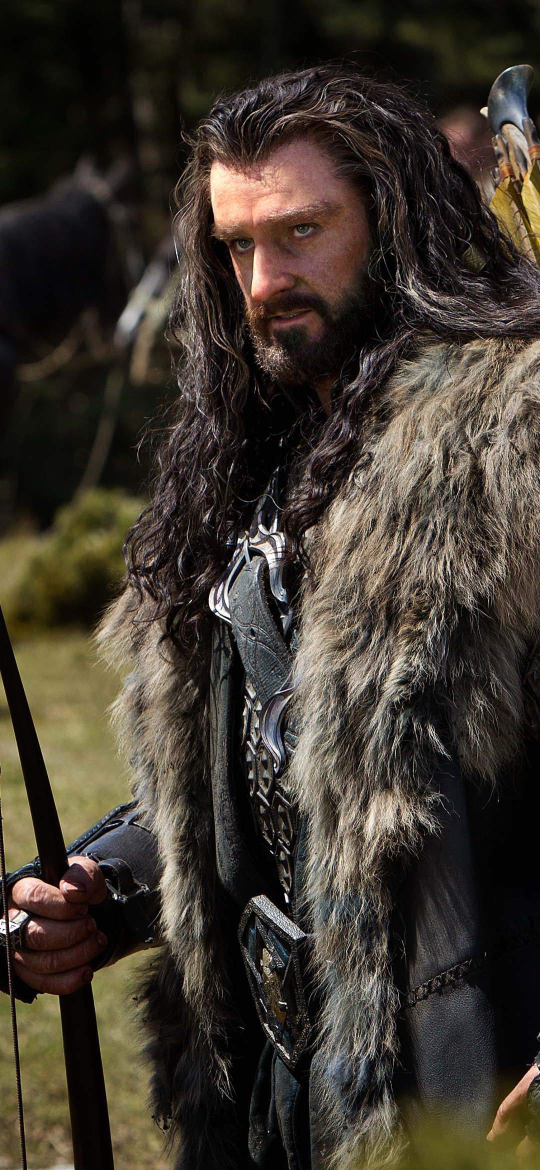 movie, the hobbit: an unexpected journey, richard armitage, long hair, warrior, beard, the hobbit, thorin oakenshield, the lord of the rings