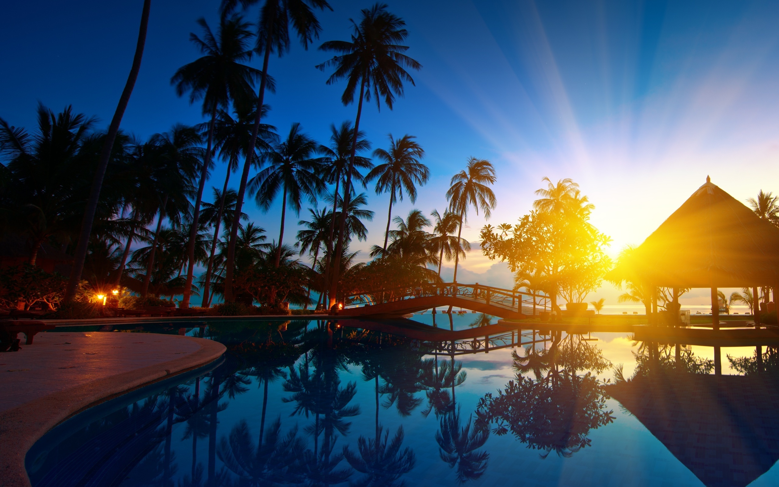 palms, blue, landscape, sea HD wallpaper