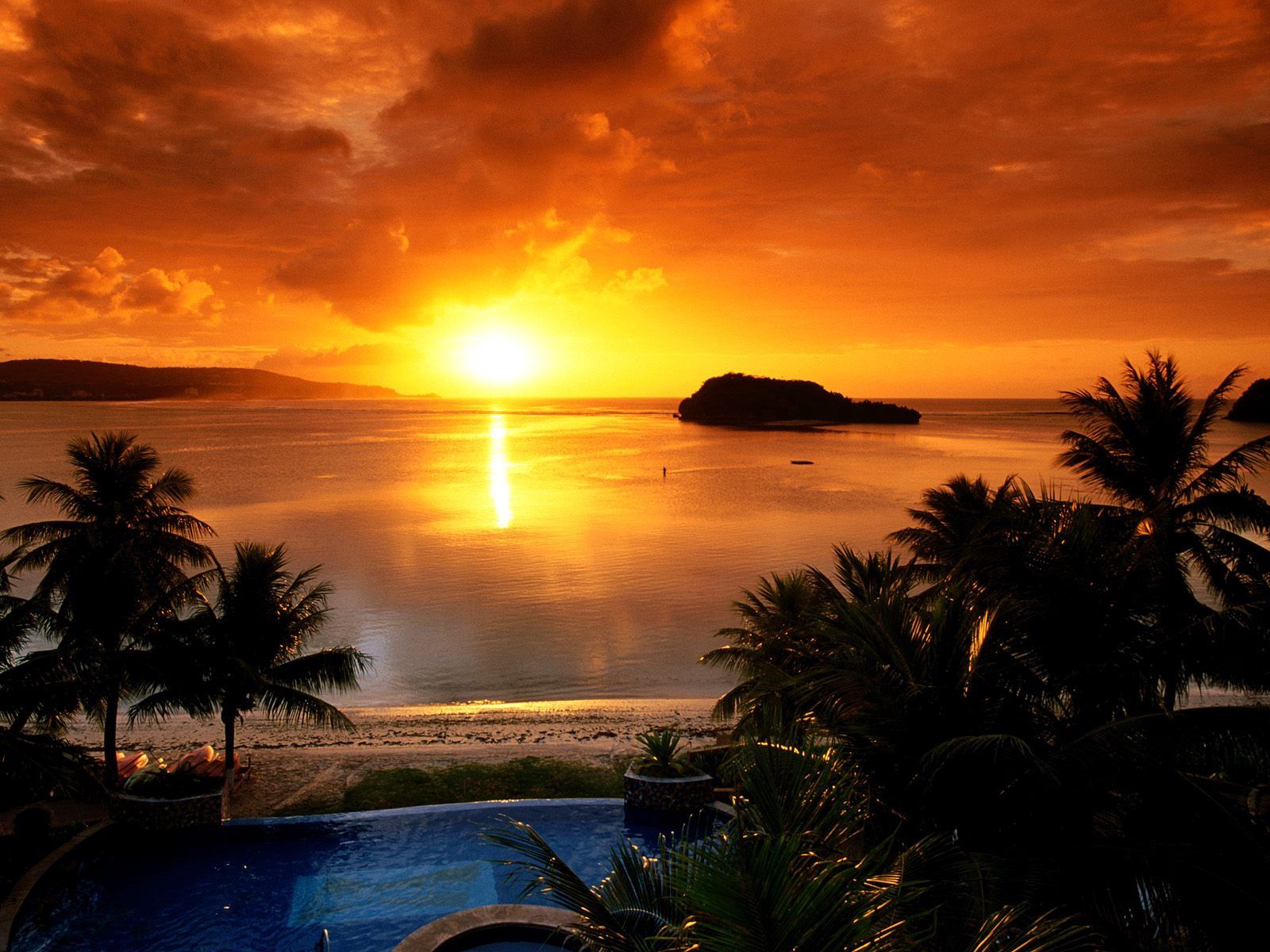 palms, nature, sunset, sea, sun, horizon, shore, bank, evening, pool