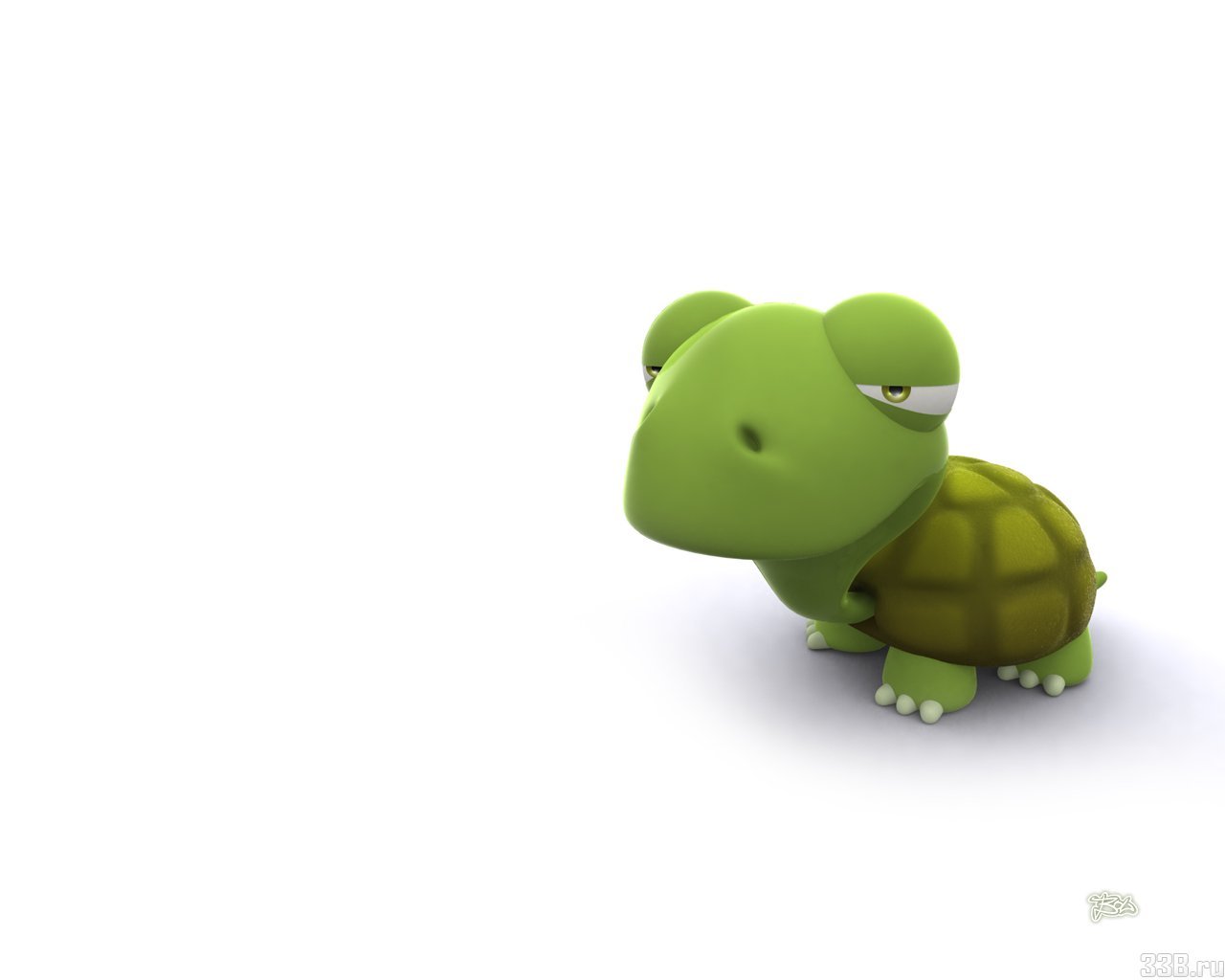 Baixar papel de parede para celular de Turtles, Imagens, Engraçado gratuito.