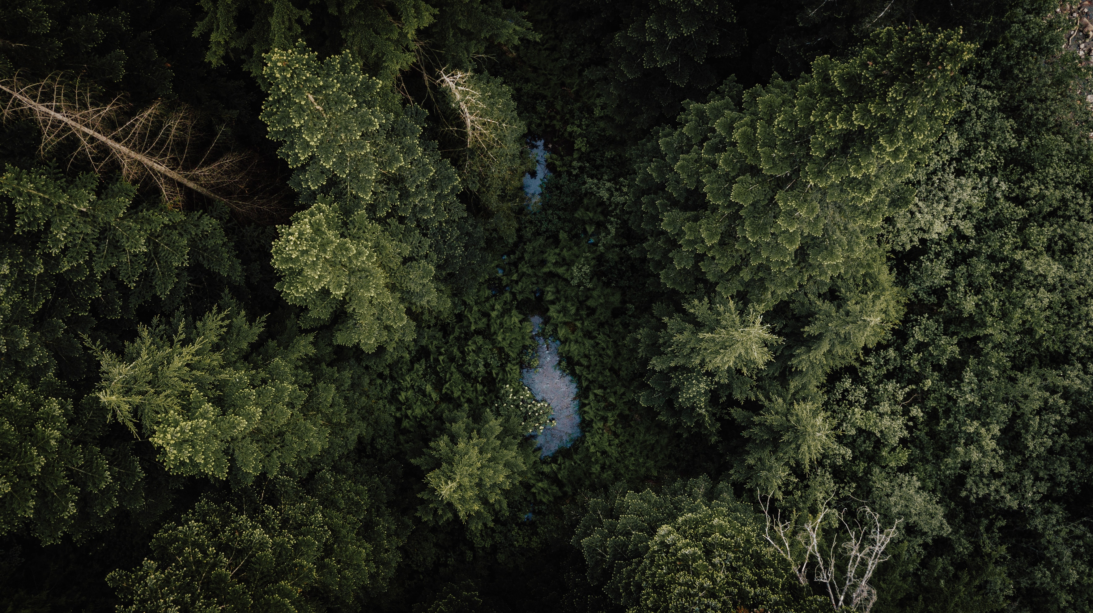 Download mobile wallpaper Top, Tops, View From Above, Rivers, Trees, Forest, Nature for free.