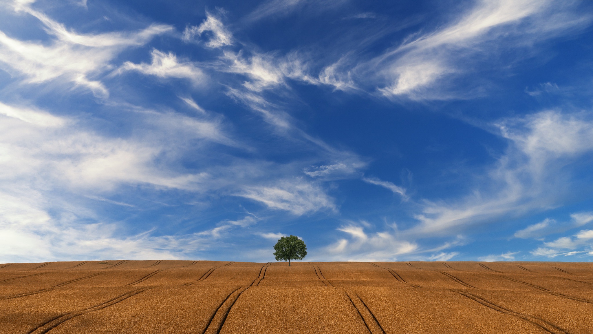 Download mobile wallpaper Nature, Sky, Summer, Tree, Earth, Field, Cloud, Lonely Tree for free.