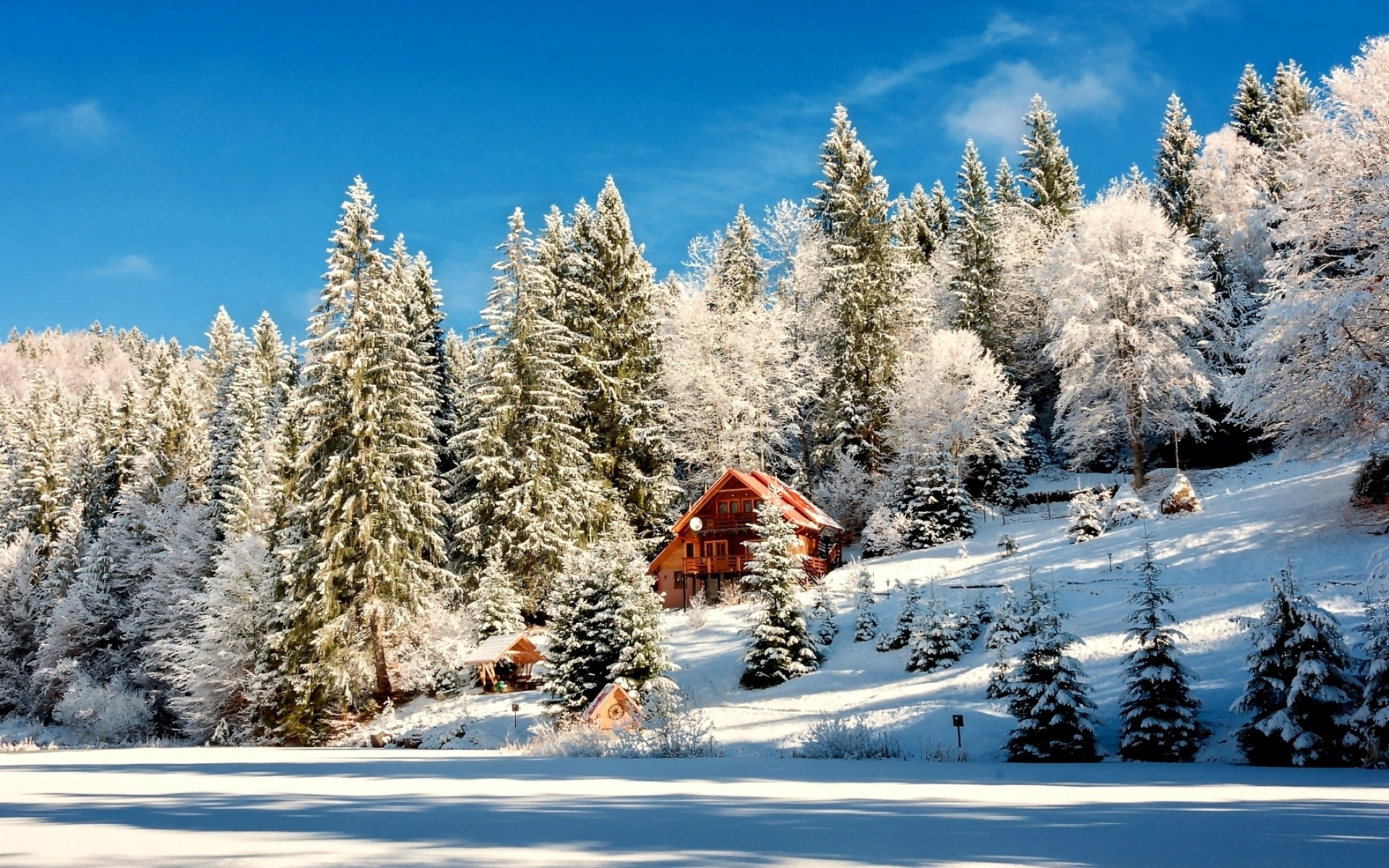 Handy-Wallpaper Winter, Schnee, Wald, Baum, Hütte, Menschengemacht kostenlos herunterladen.