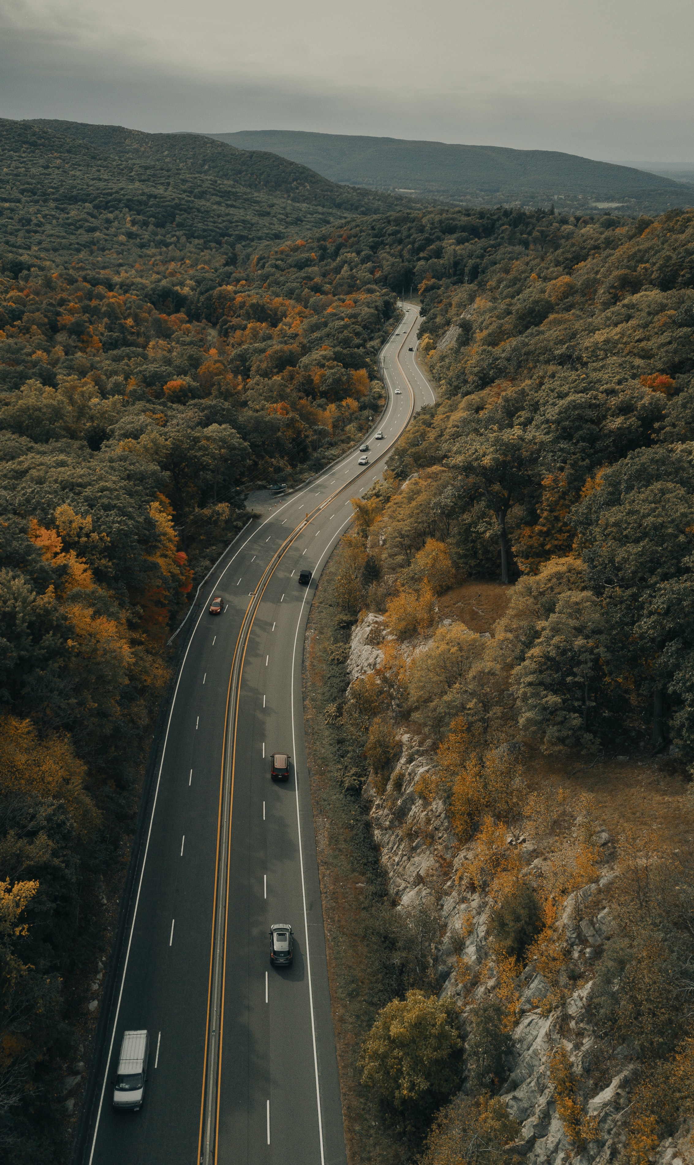PC Wallpapers road, nature, autumn, auto, trees, forest