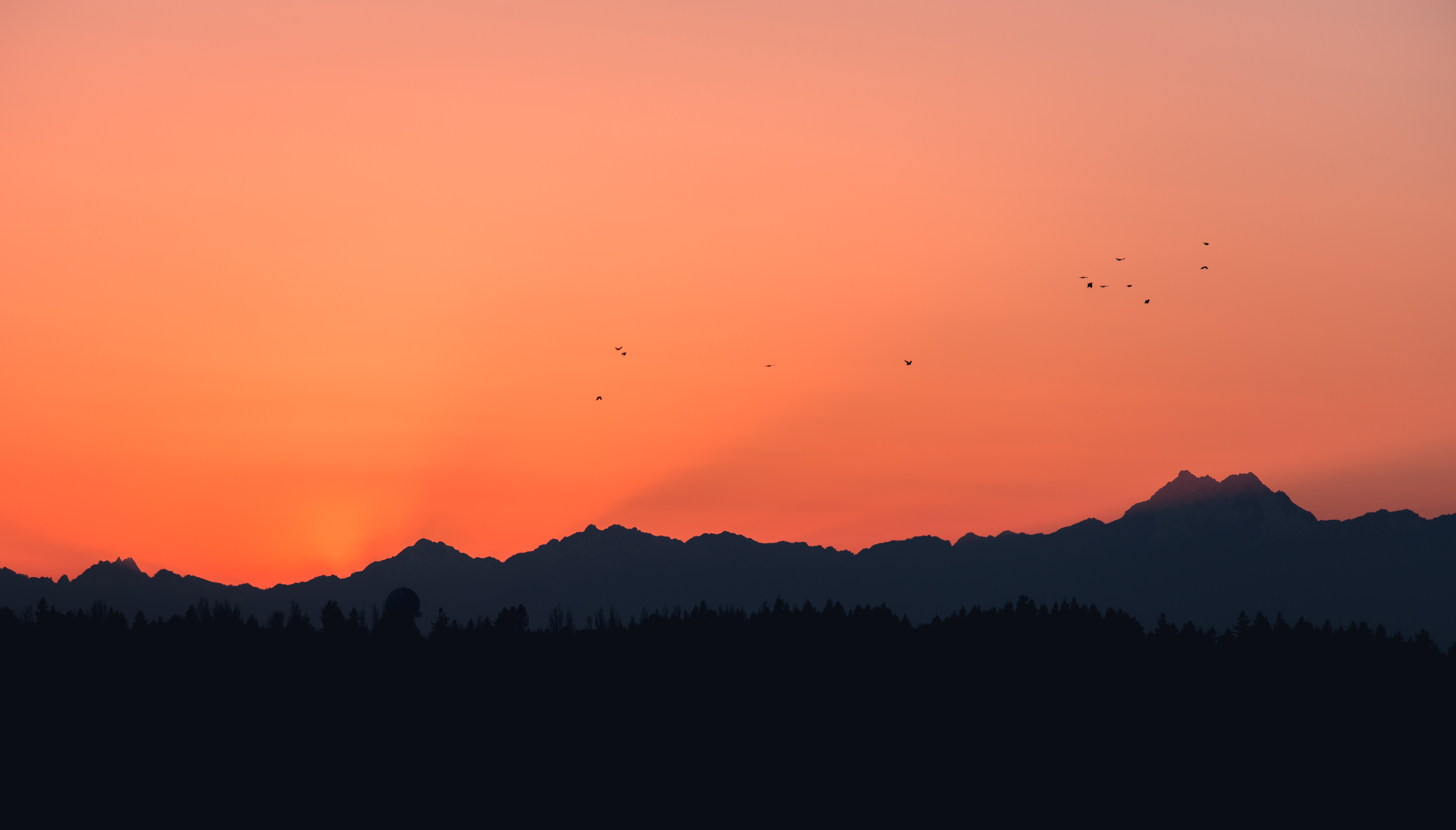 mountains, dark, birds, sunset, outlines