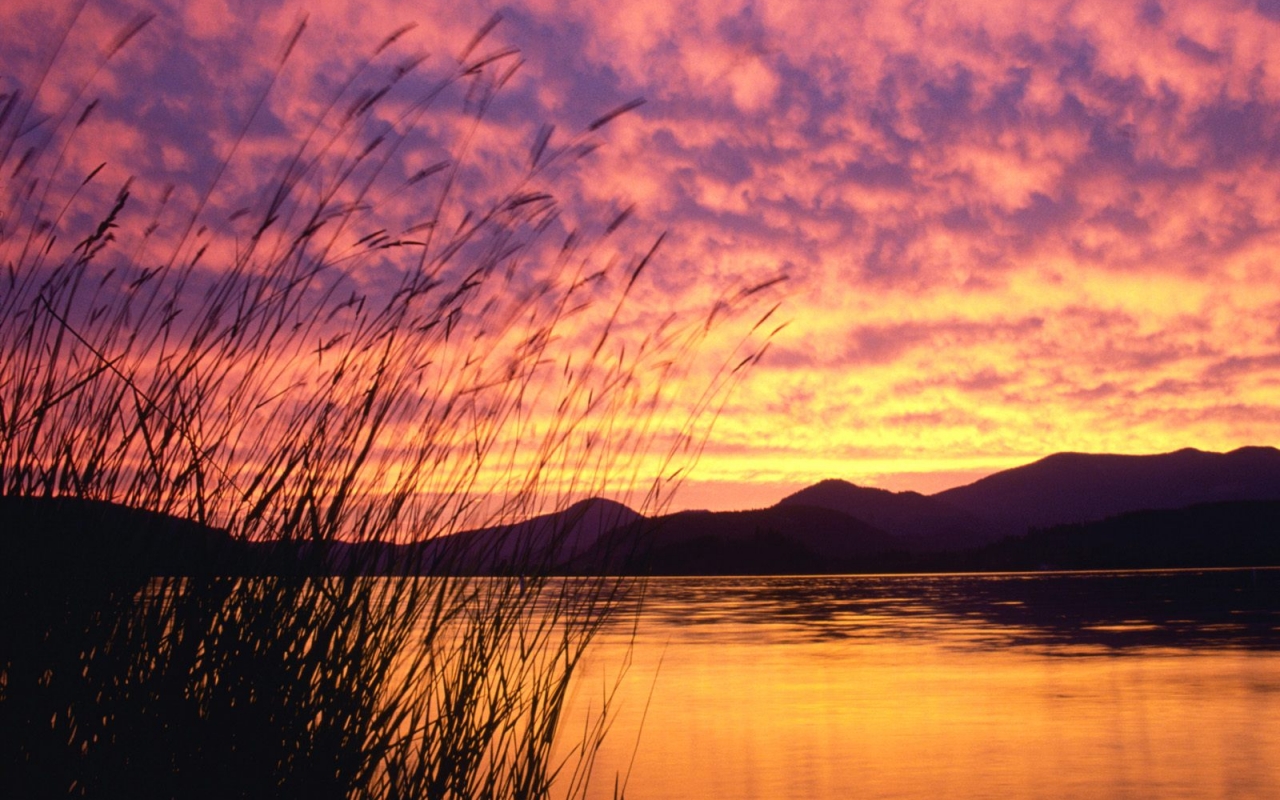 Descarga gratuita de fondo de pantalla para móvil de Lago, Tierra/naturaleza.