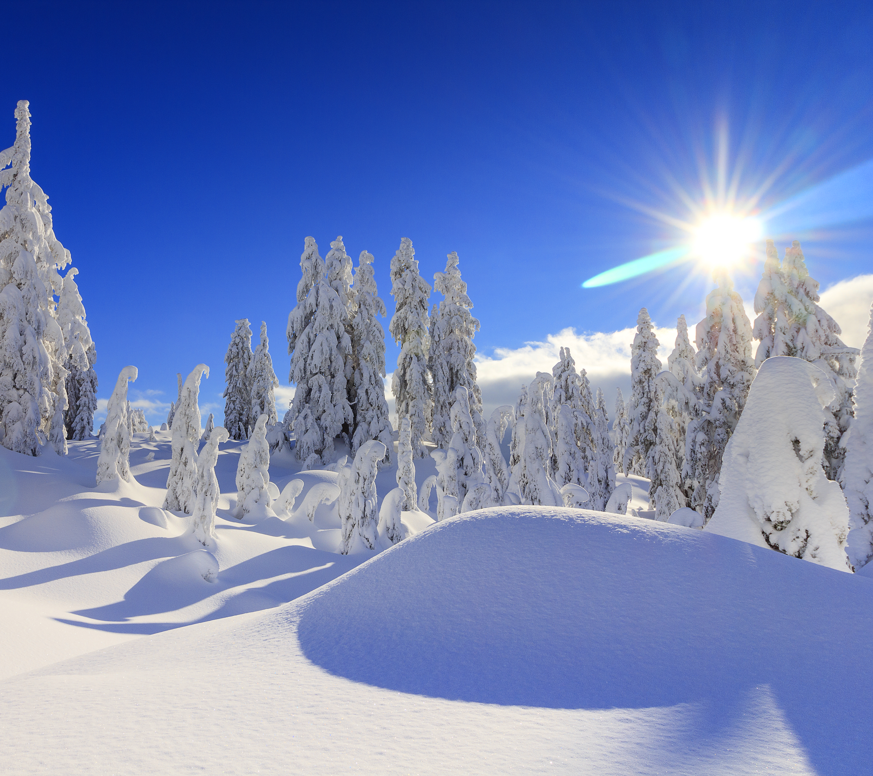 Скачати мобільні шпалери Зима, Природа, Сніг, Канада, Дерево, Земля, Сонячно безкоштовно.