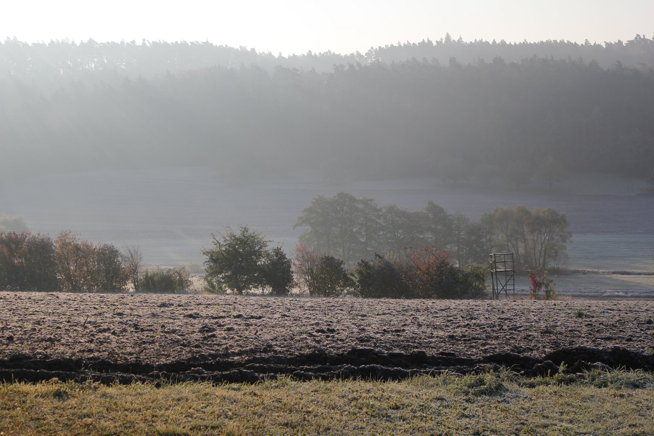 Handy-Wallpaper Landschaft, Erde/natur kostenlos herunterladen.