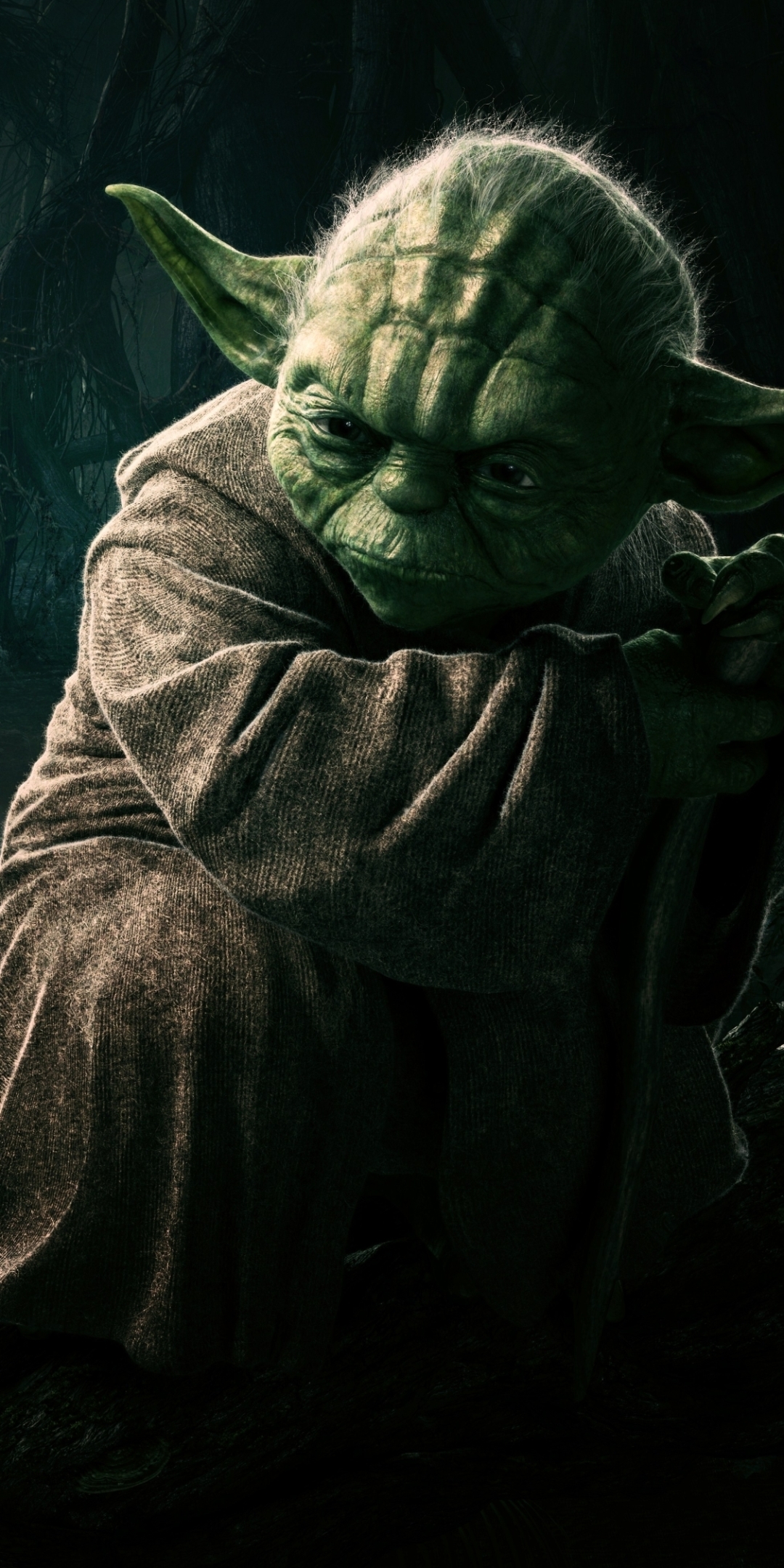 Download mobile wallpaper Star Wars, Sci Fi, Pointed Ears, Yoda, Jedi for free.