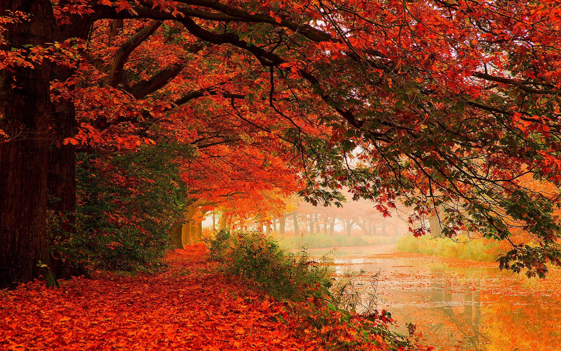 Téléchargez des papiers peints mobile Automne, Terre/nature gratuitement.