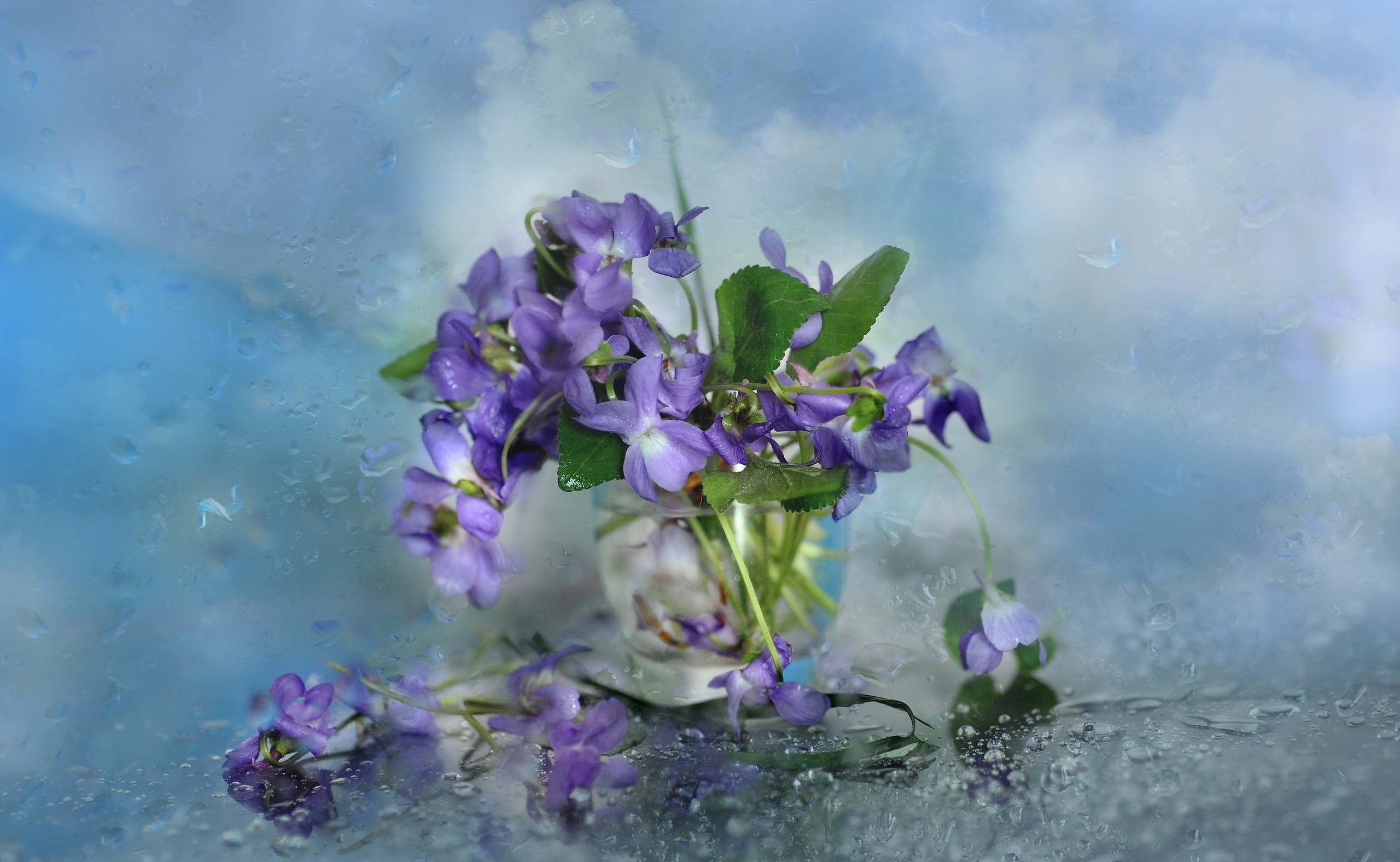Free download wallpaper Still Life, Flower, Artistic on your PC desktop