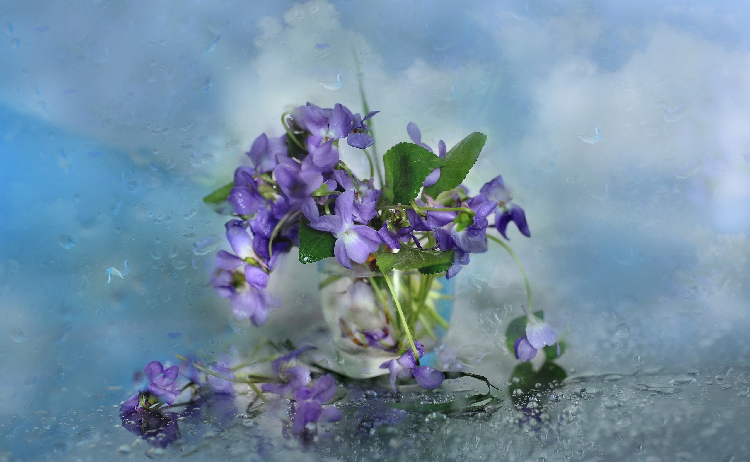 Download mobile wallpaper Still Life, Flower, Artistic for free.