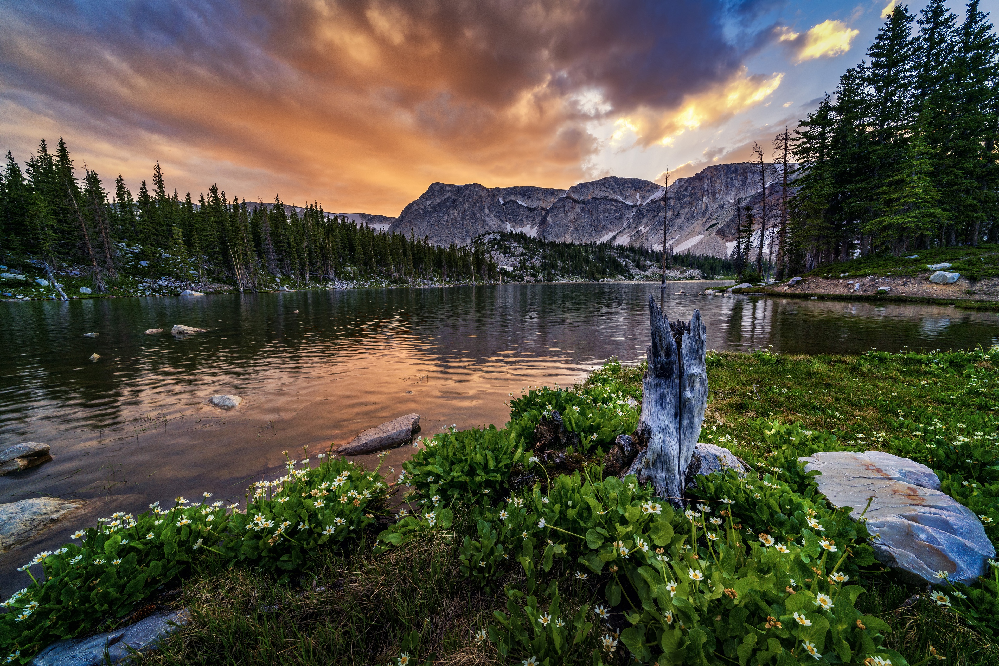 Téléchargez gratuitement l'image Montagne, Lac, Fleur, Des Lacs, La Nature, Terre/nature sur le bureau de votre PC