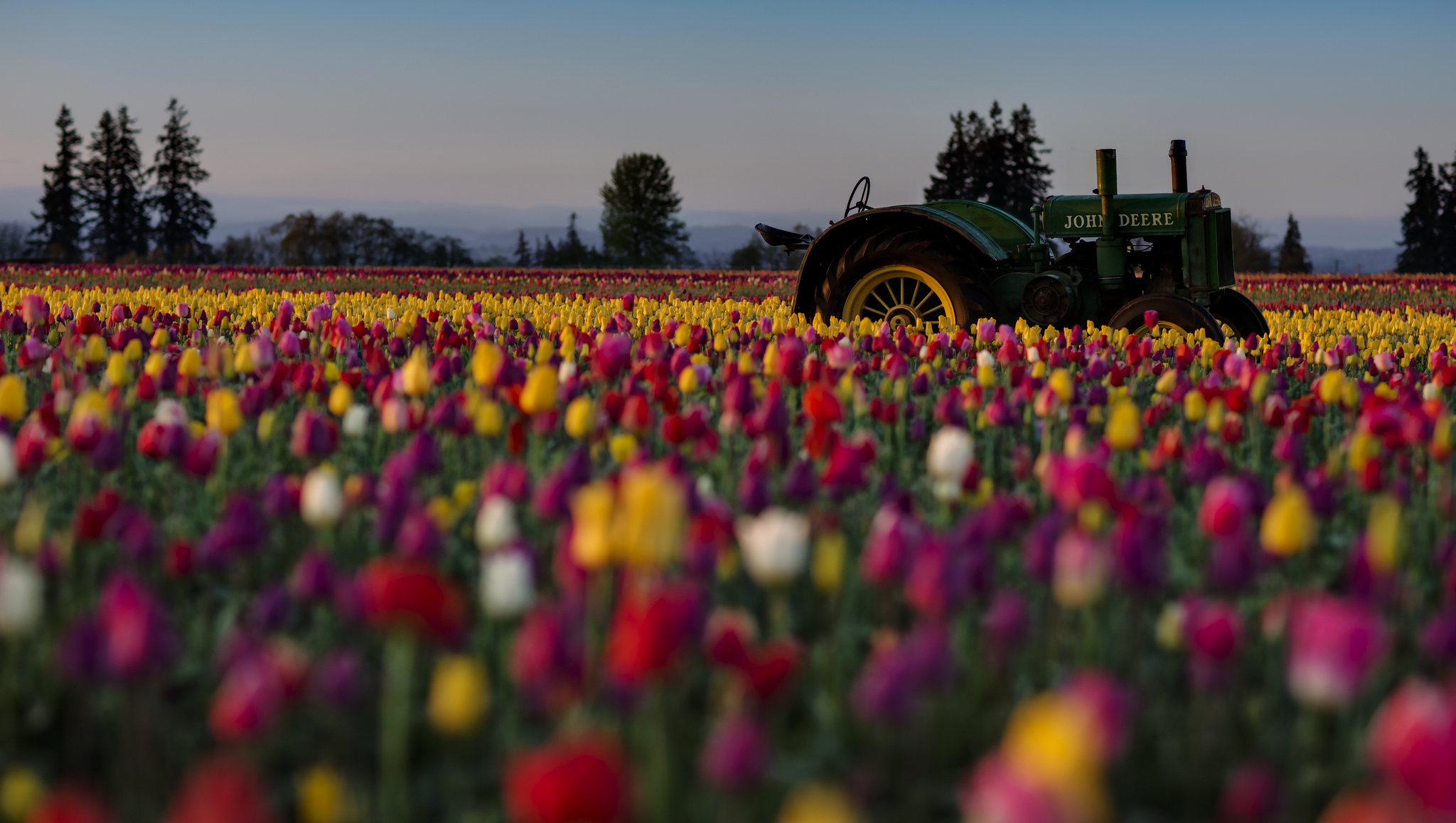Download mobile wallpaper Flowers, Flower, Earth, Field, Colorful, Tulip, Tractor, John Deere for free.