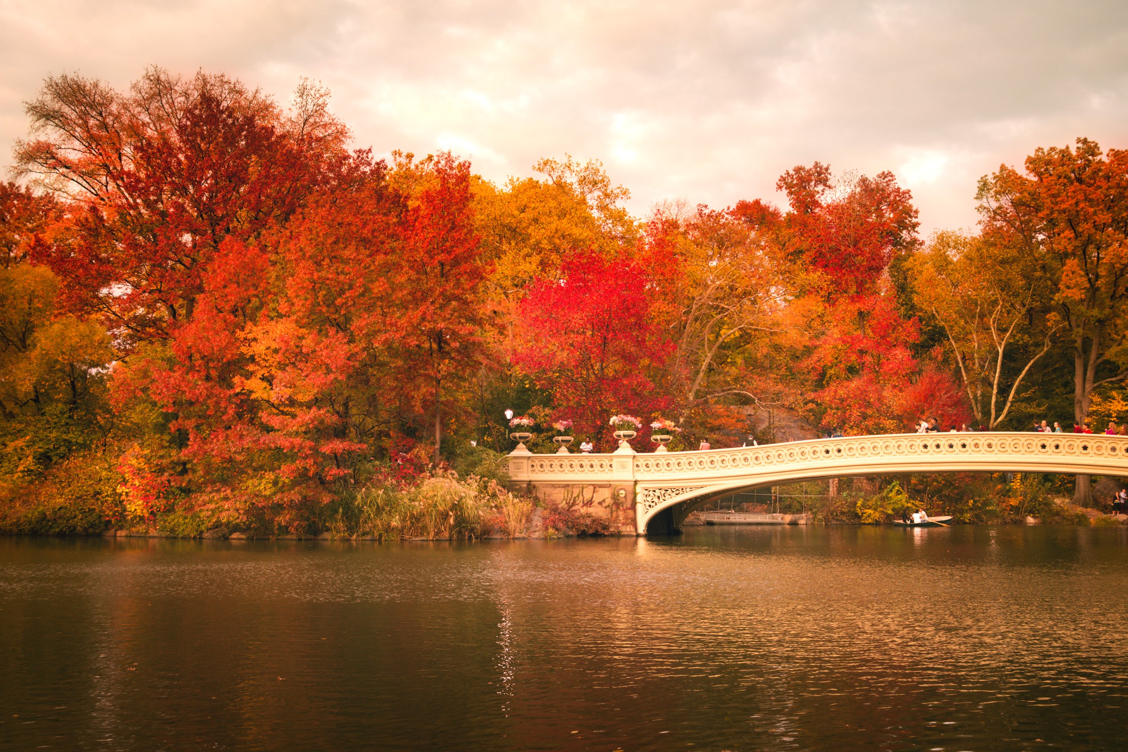 Free download wallpaper Fall, Bridge, River, Central Park, Man Made, Bow Bridge on your PC desktop