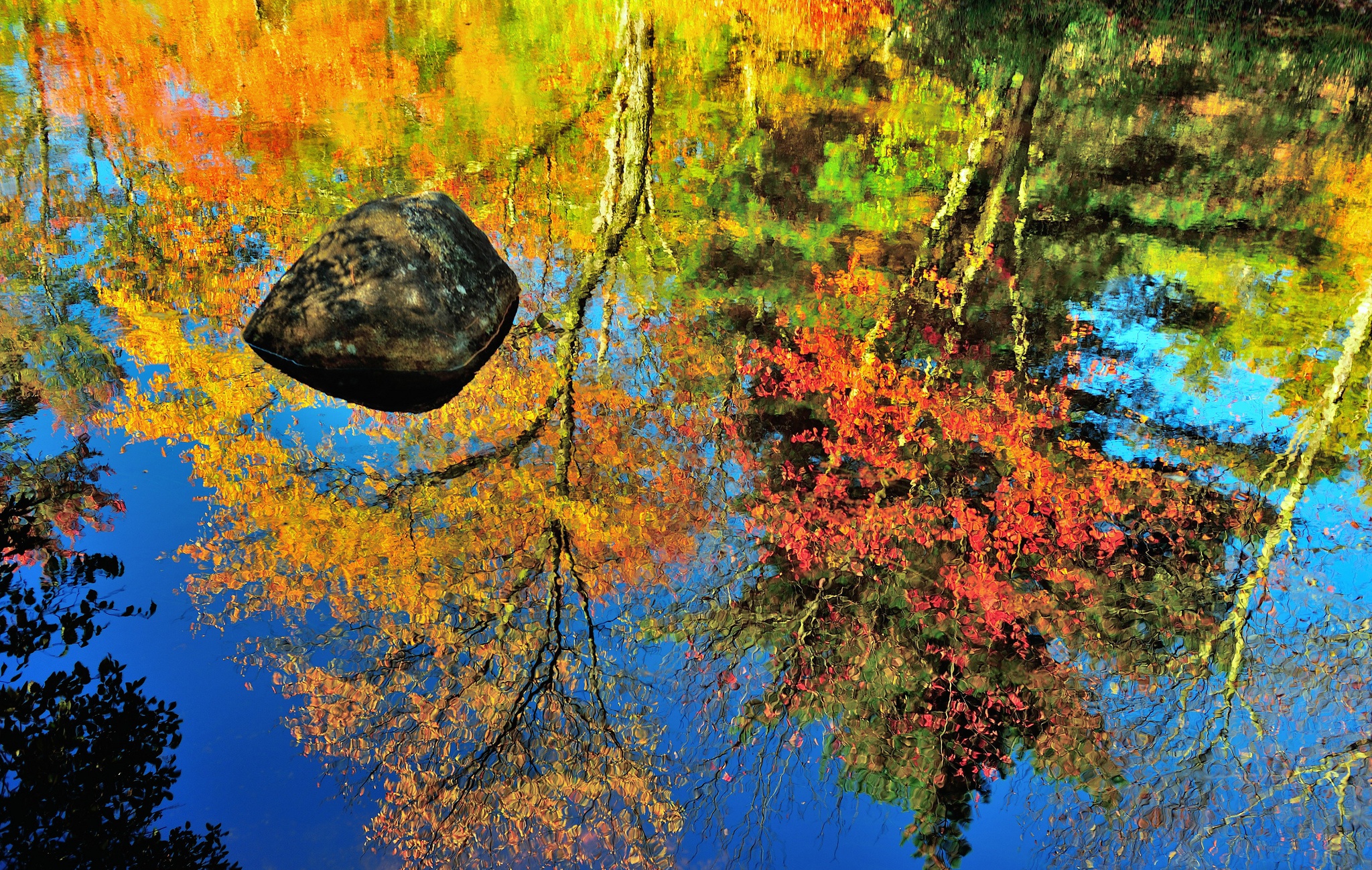 Скачать картинку Вода, Осень, Отражение, Дерево, Красочный, Земля/природа в телефон бесплатно.