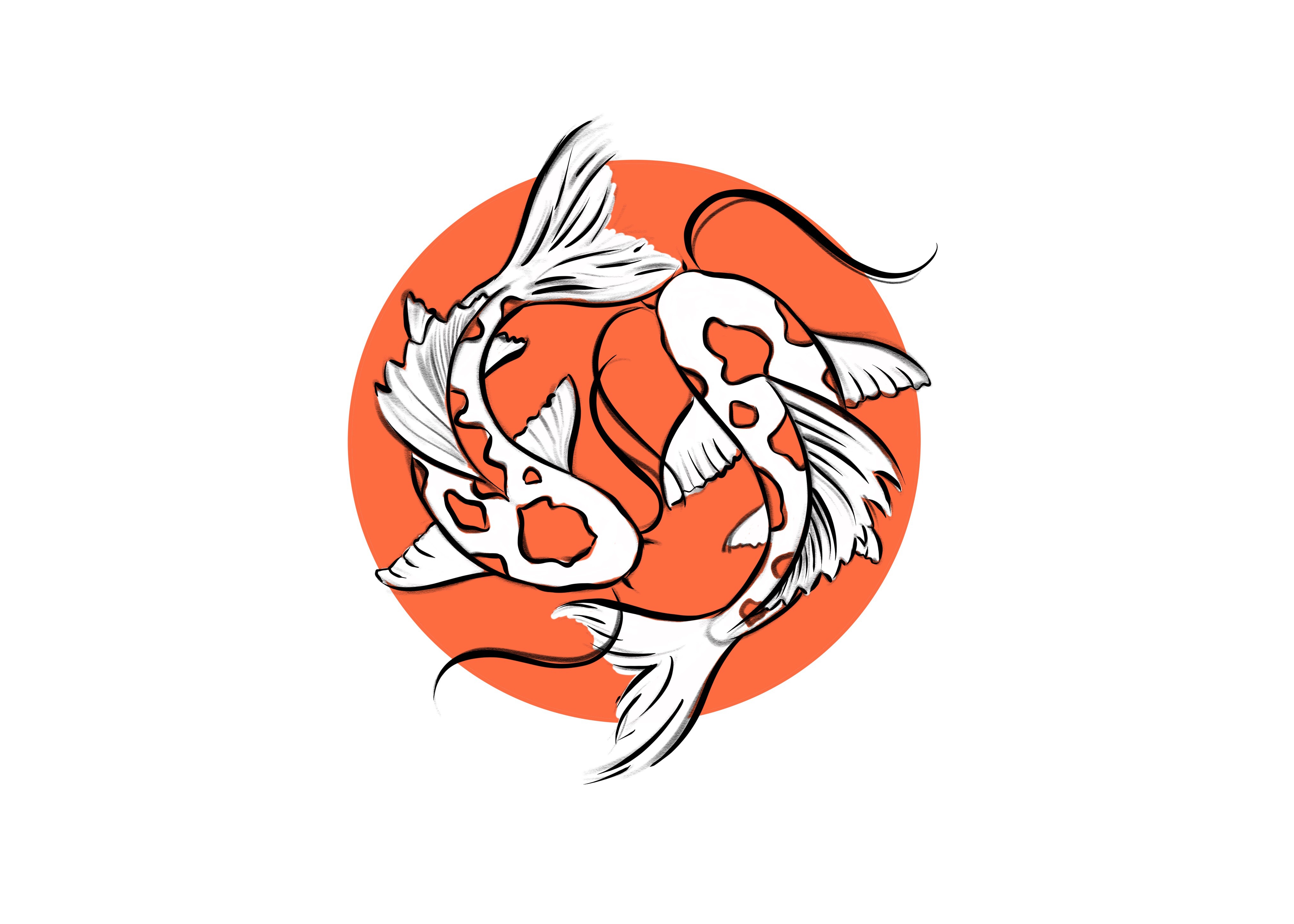 minimalist, yin & yang, koi fish, animal, koi, fish, fishes