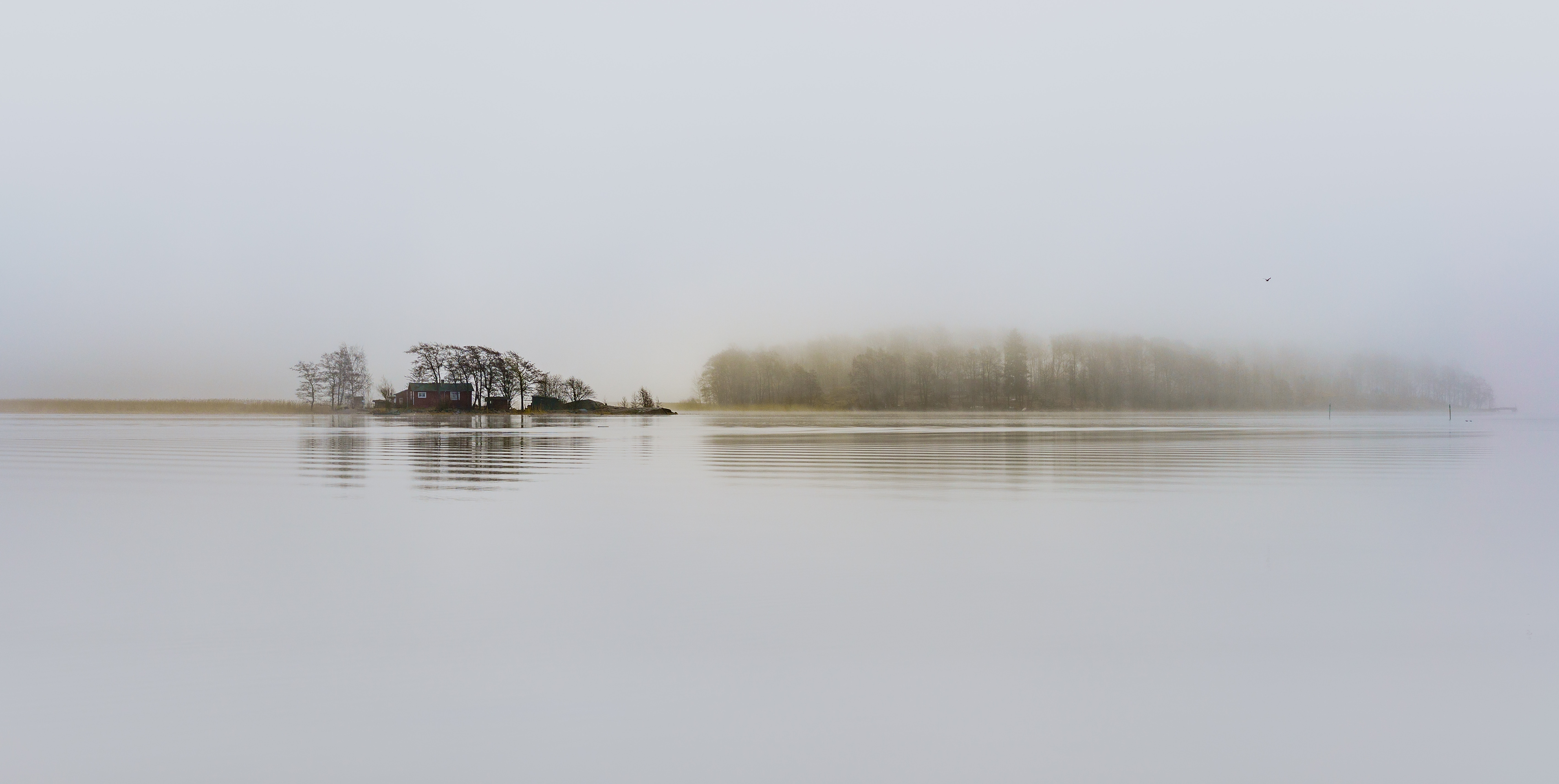 108986 Hintergrundbild herunterladen bäume, see, nebel, minimalismus, kleines haus, lodge, stille, helsinki, finnland - Bildschirmschoner und Bilder kostenlos