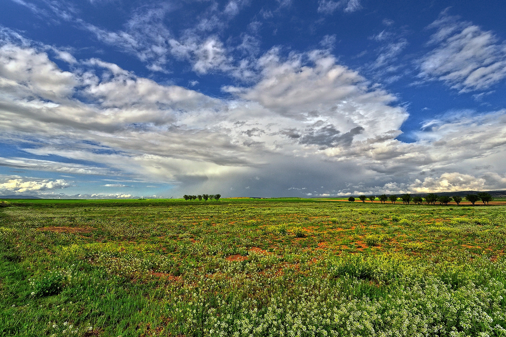 Download mobile wallpaper Field, Sky, Landscape, Summer, Nature for free.