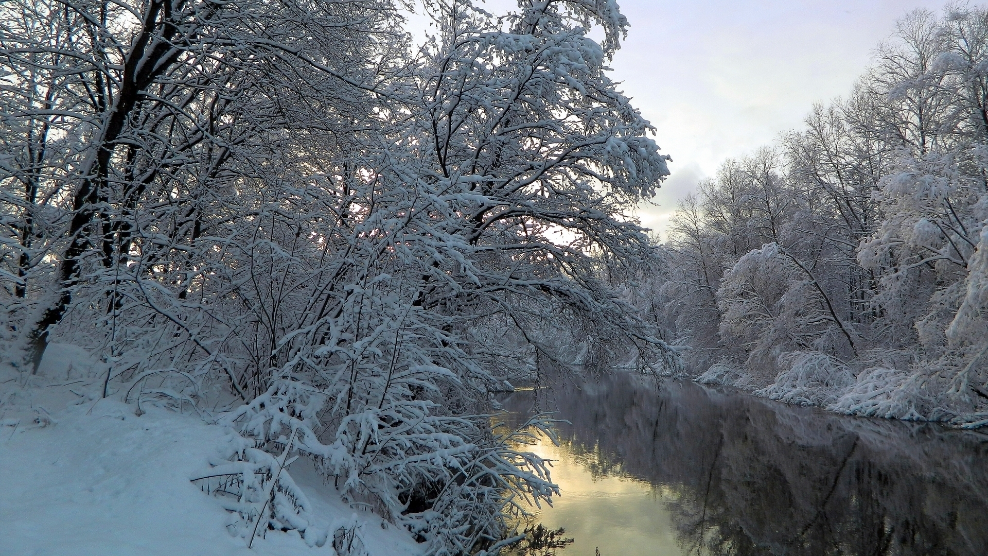 Скачать обои бесплатно Зима, Река, Снег, Отражение, Дерево, Земля/природа картинка на рабочий стол ПК