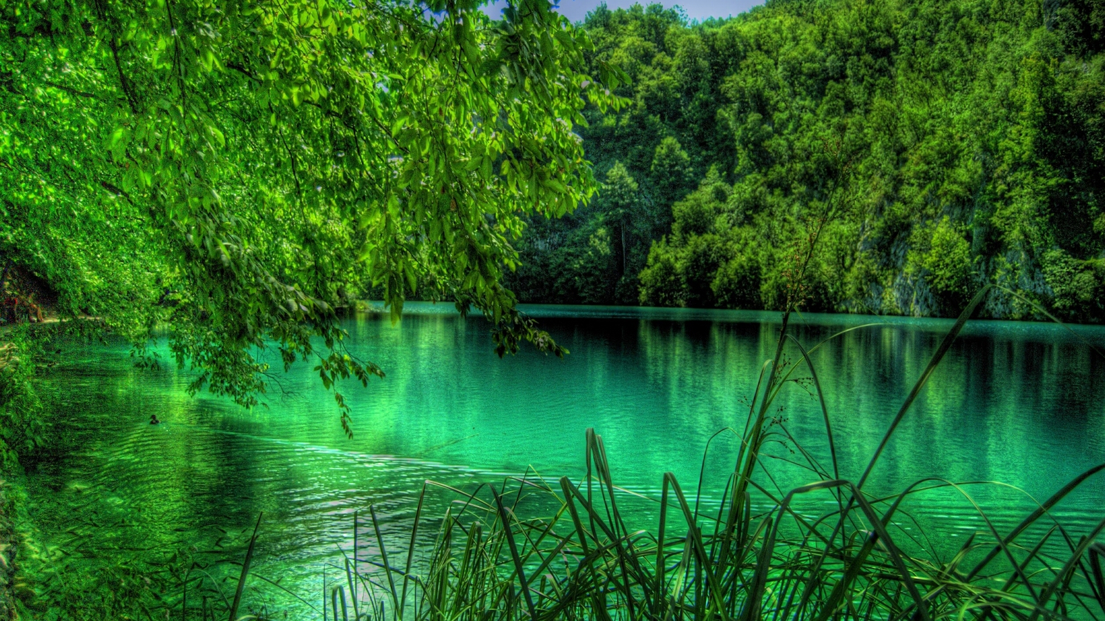 Los mejores fondos de pantalla de Lago De Plitvice para la pantalla del teléfono