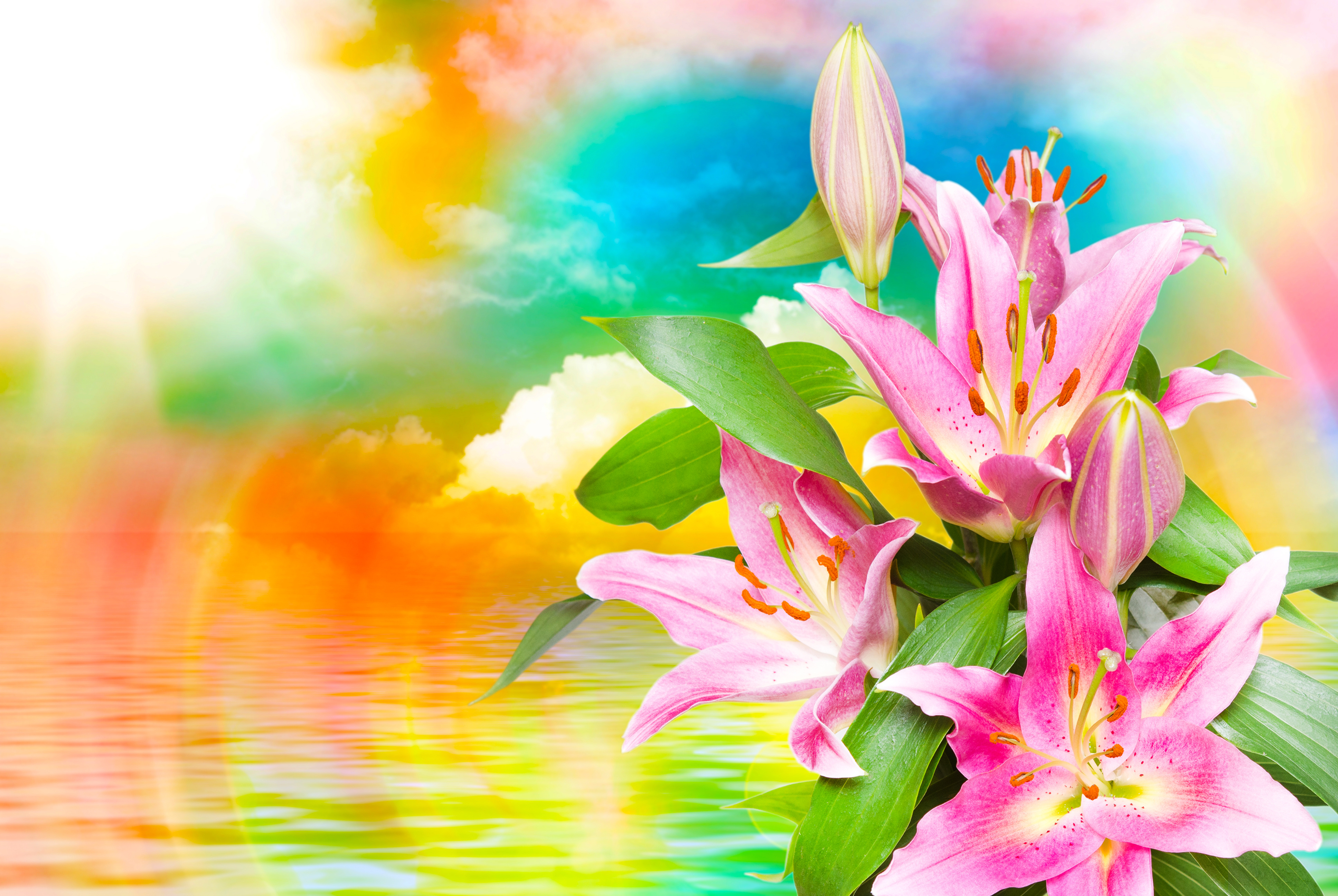 Handy-Wallpaper Blumen, Blume, Farben, Bunt, Lilie, Wolke, Sonnenstrahl, Künstlerisch, Pinke Blume kostenlos herunterladen.