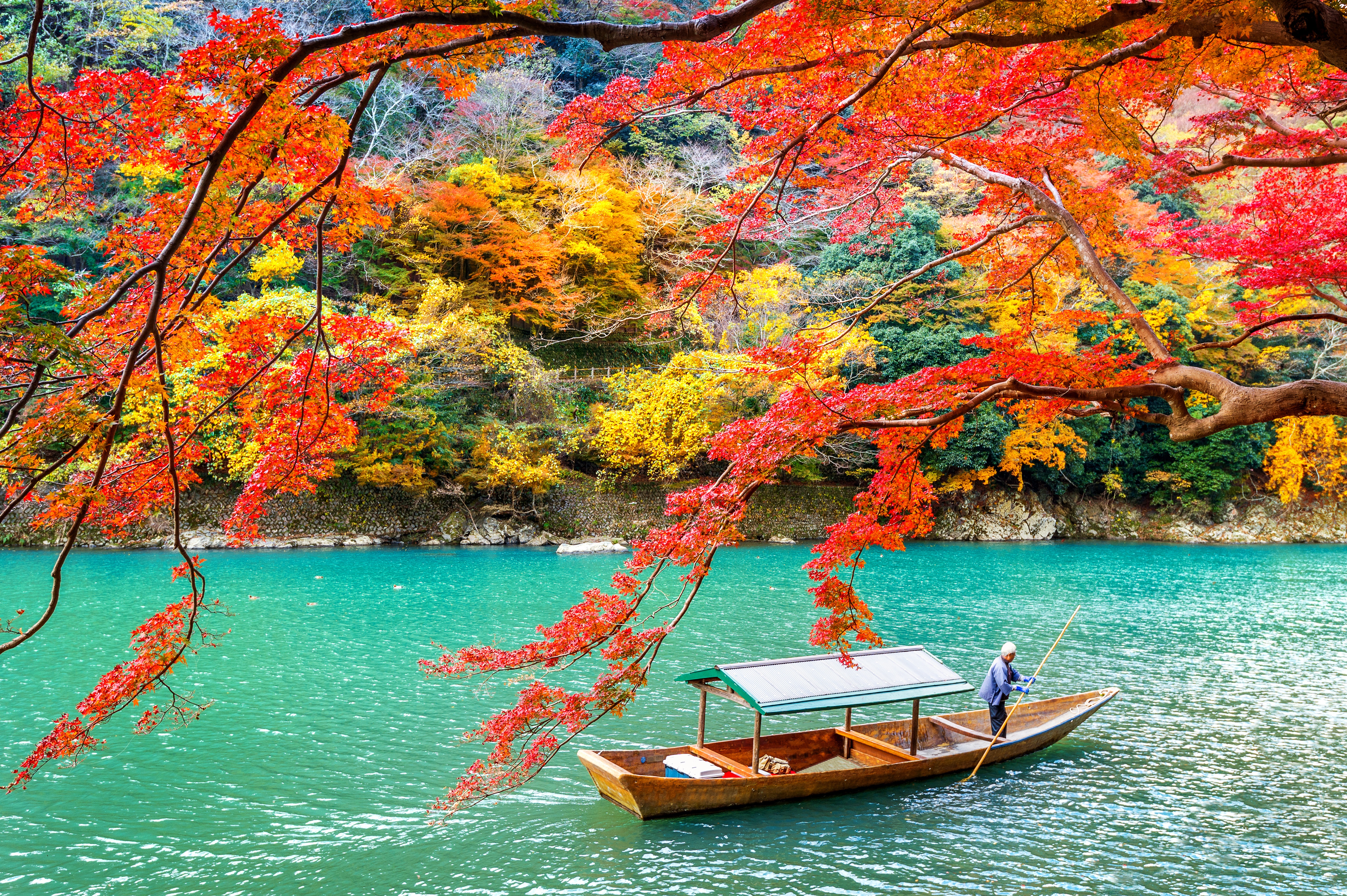 Скачати мобільні шпалери Природа, Озеро, Парк, Японія, Падіння, Фотографія, Кіото, Арашіяма безкоштовно.