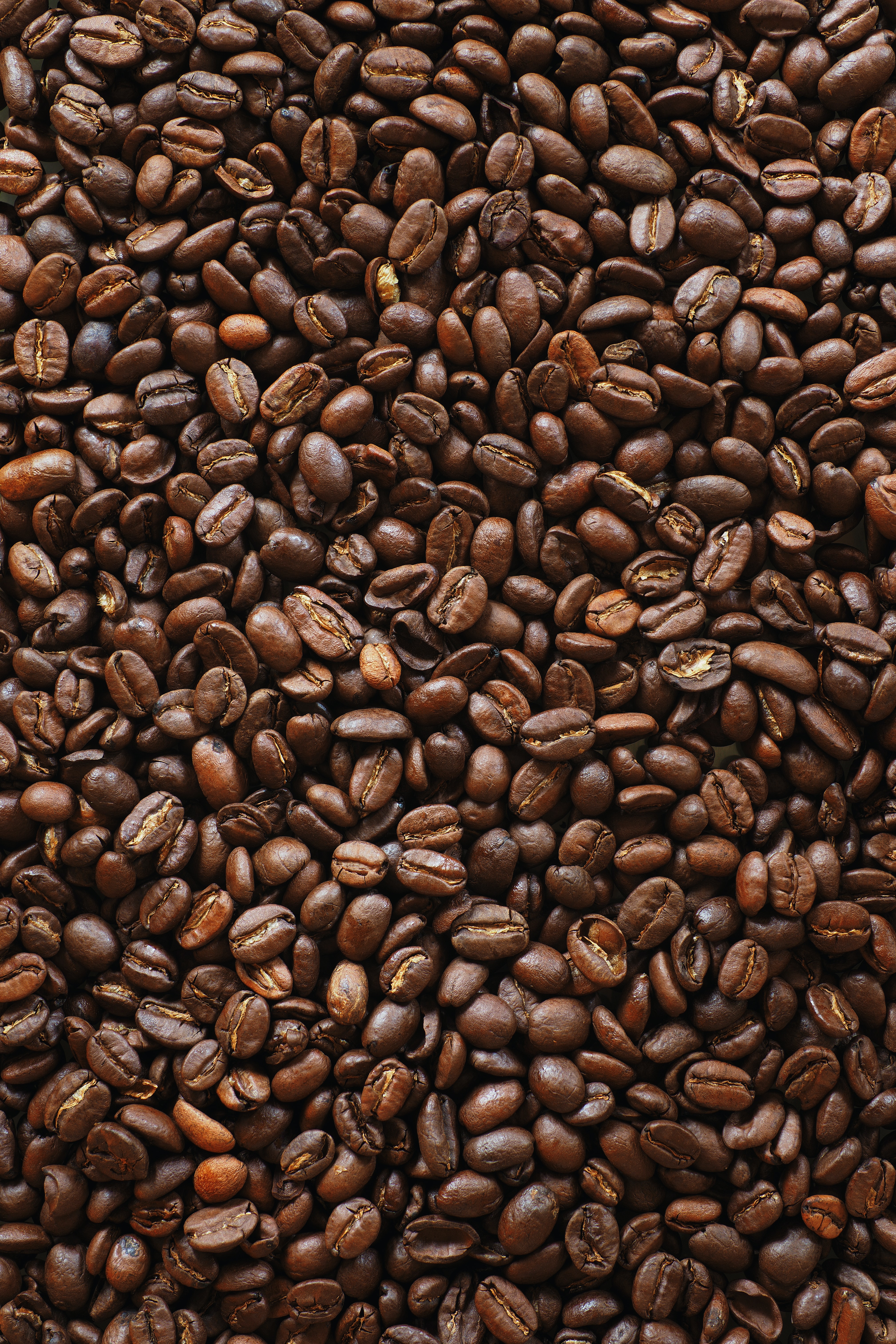 food, coffee, macro, brown, grains, coffee beans, grain