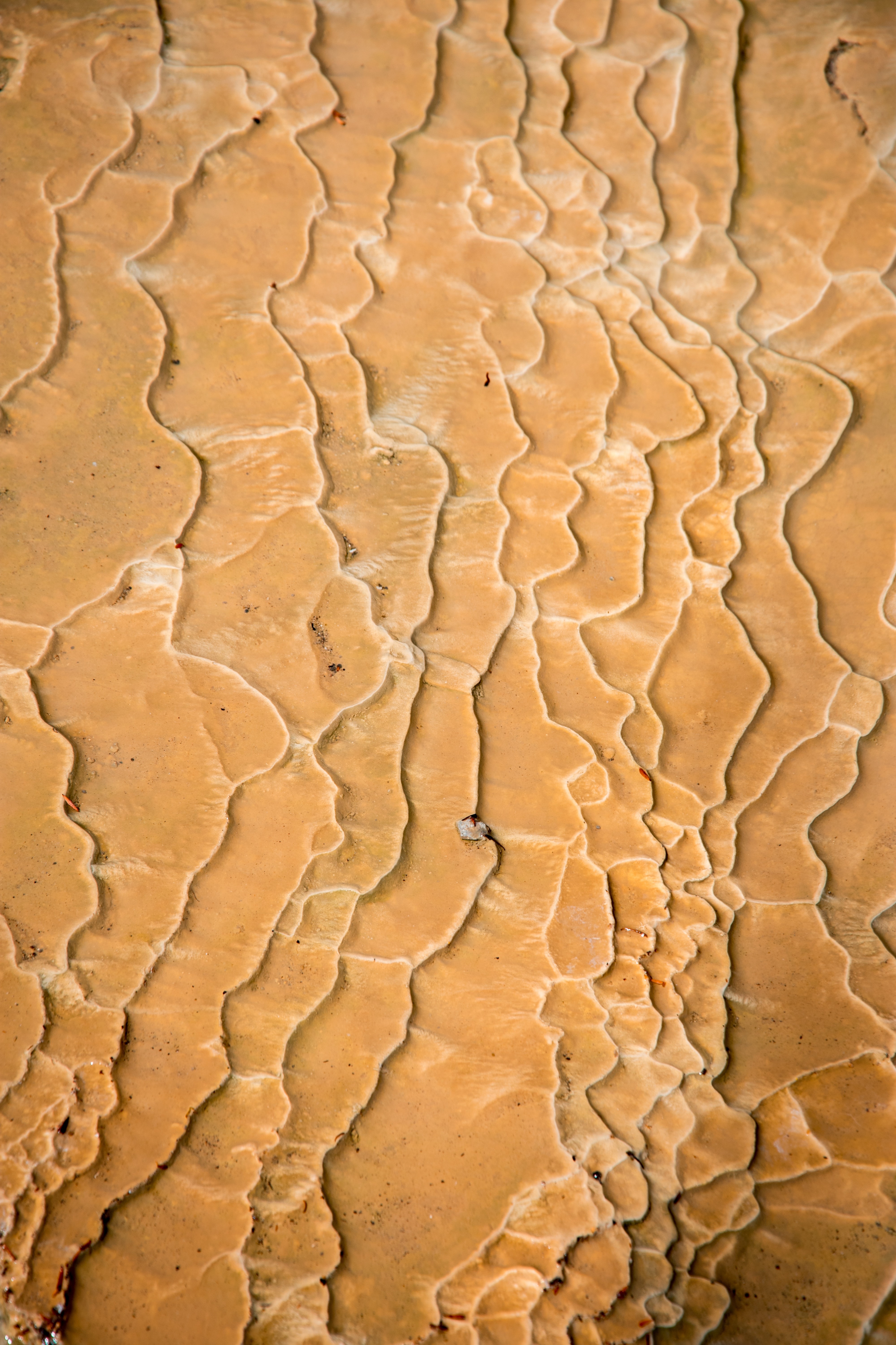 sand, texture, textures, traces, drought, invoice