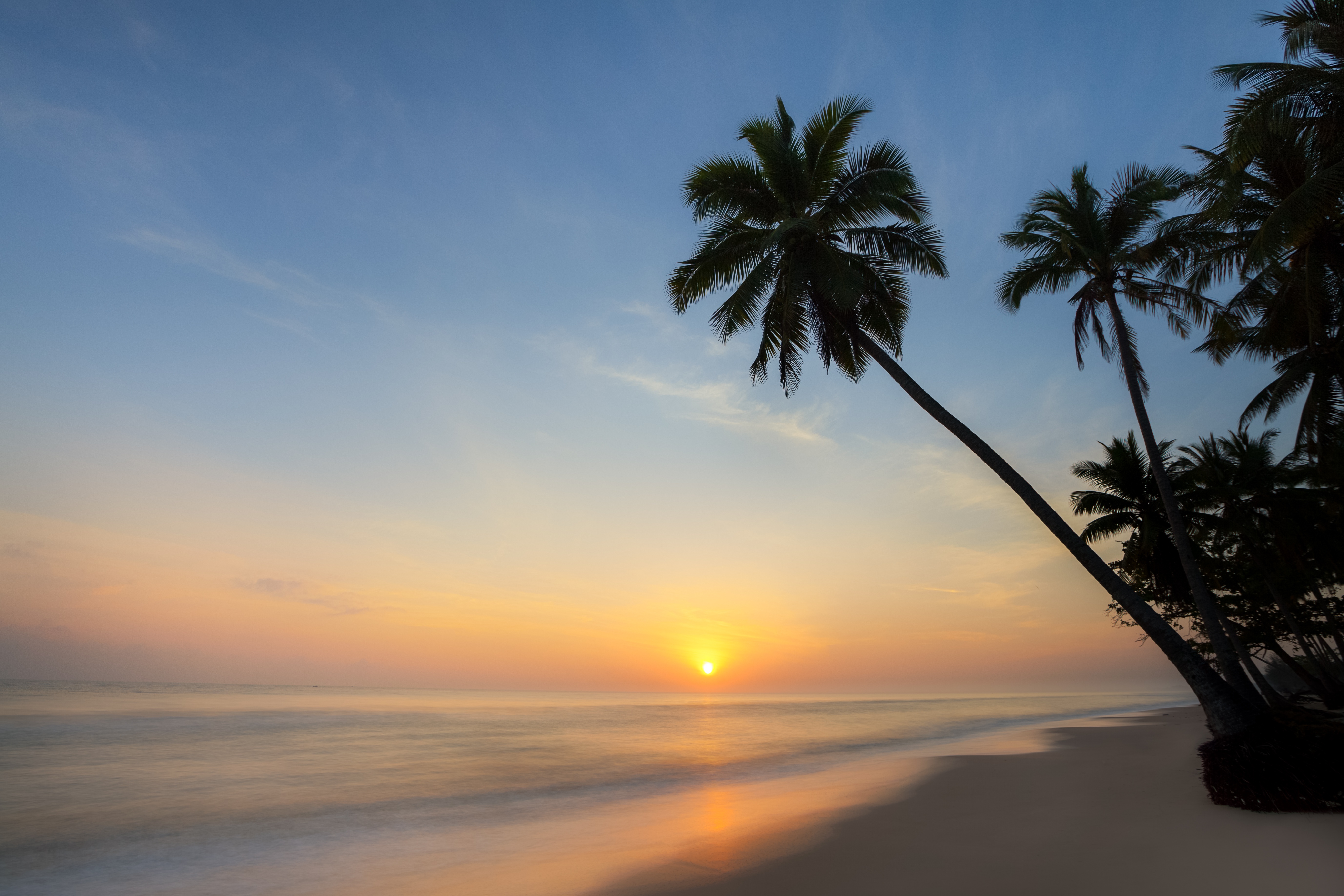 Download mobile wallpaper Sunset, Horizon, Ocean, Earth, Palm Tree for free.