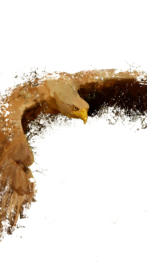 Download mobile wallpaper Birds, Splash, Animal, Eagle for free.