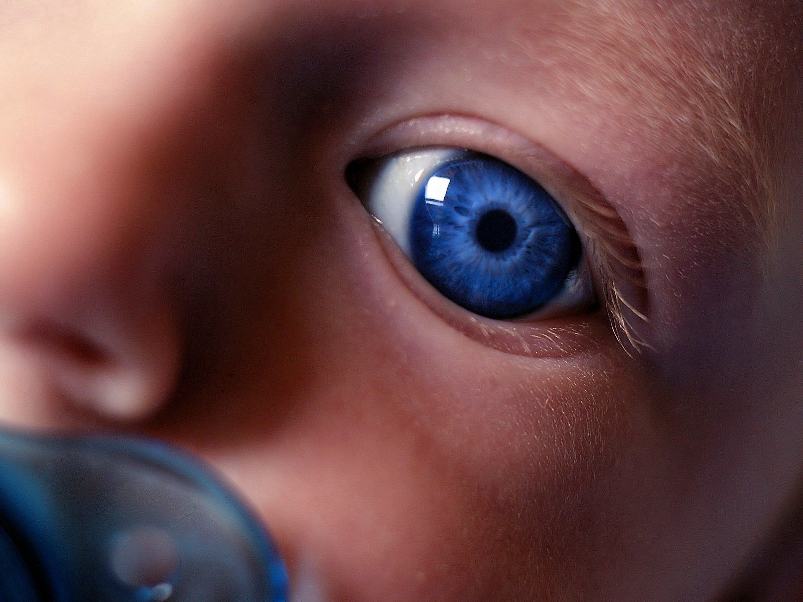 109262 télécharger l'image divers, yeux, enfant, yeux bleus, aux yeux bleus, mamelon - fonds d'écran et économiseurs d'écran gratuits