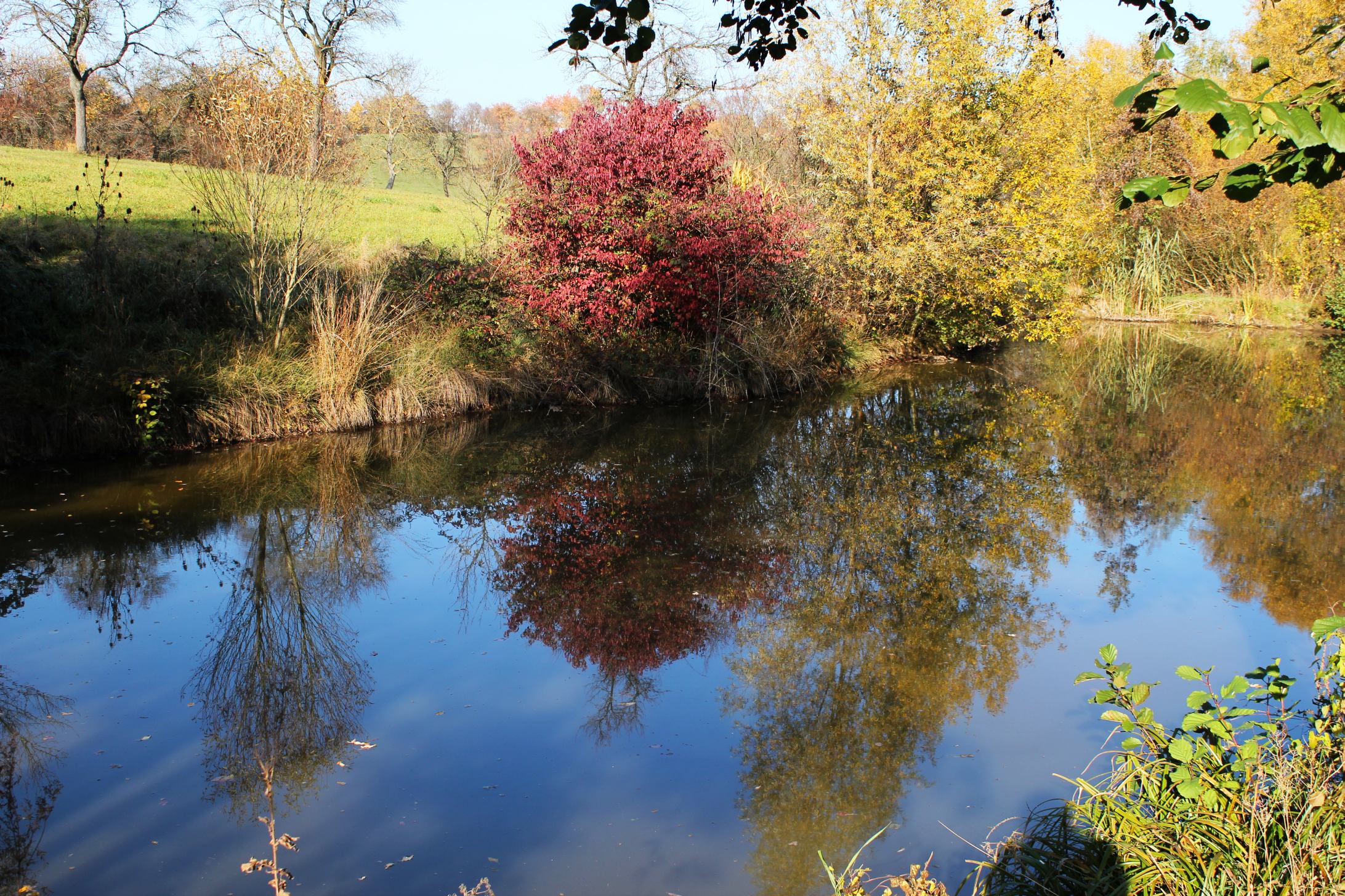 Téléchargez gratuitement l'image Lac, Terre/nature sur le bureau de votre PC