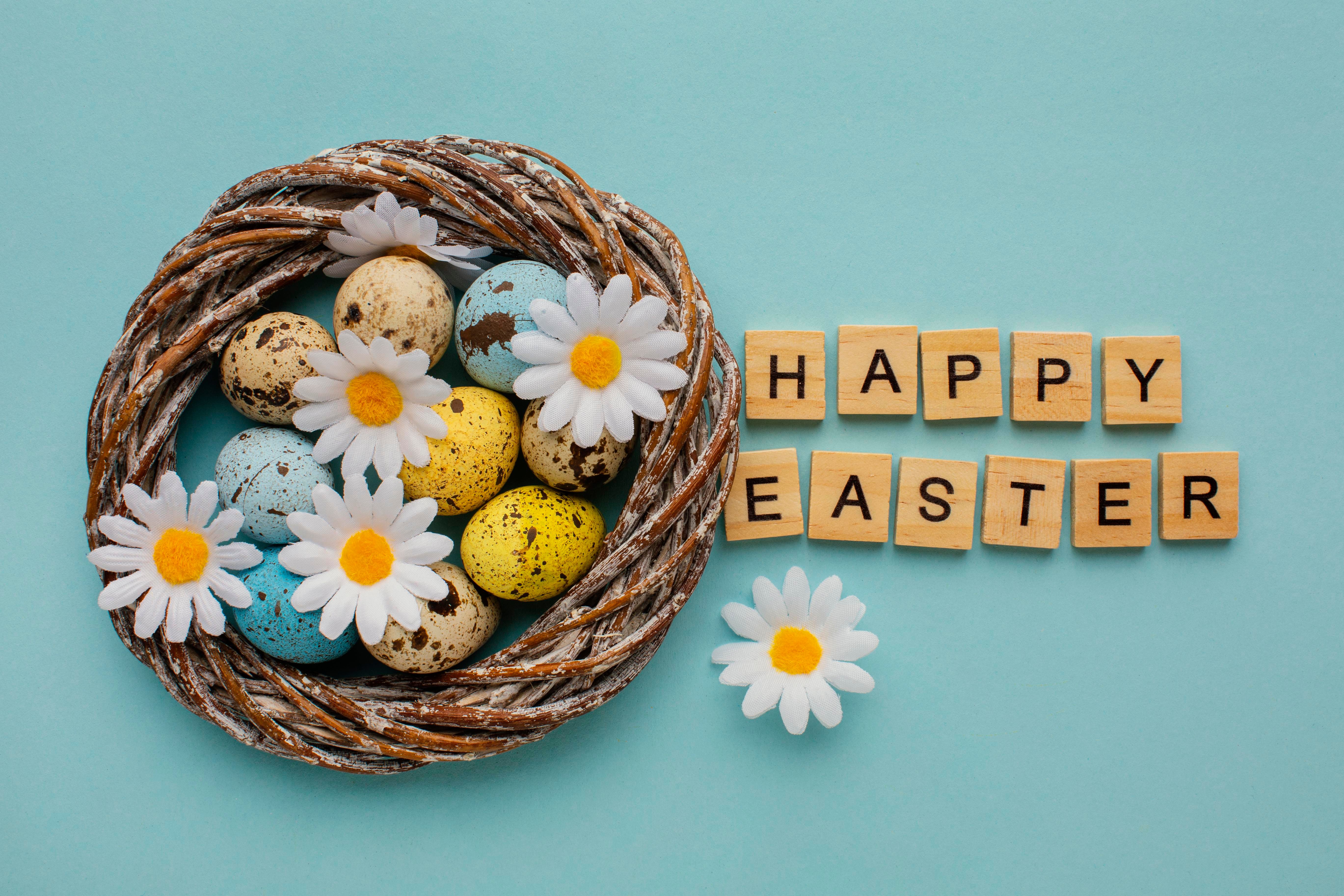Download mobile wallpaper Easter, Camomile, Holiday, Egg, Happy Easter for free.