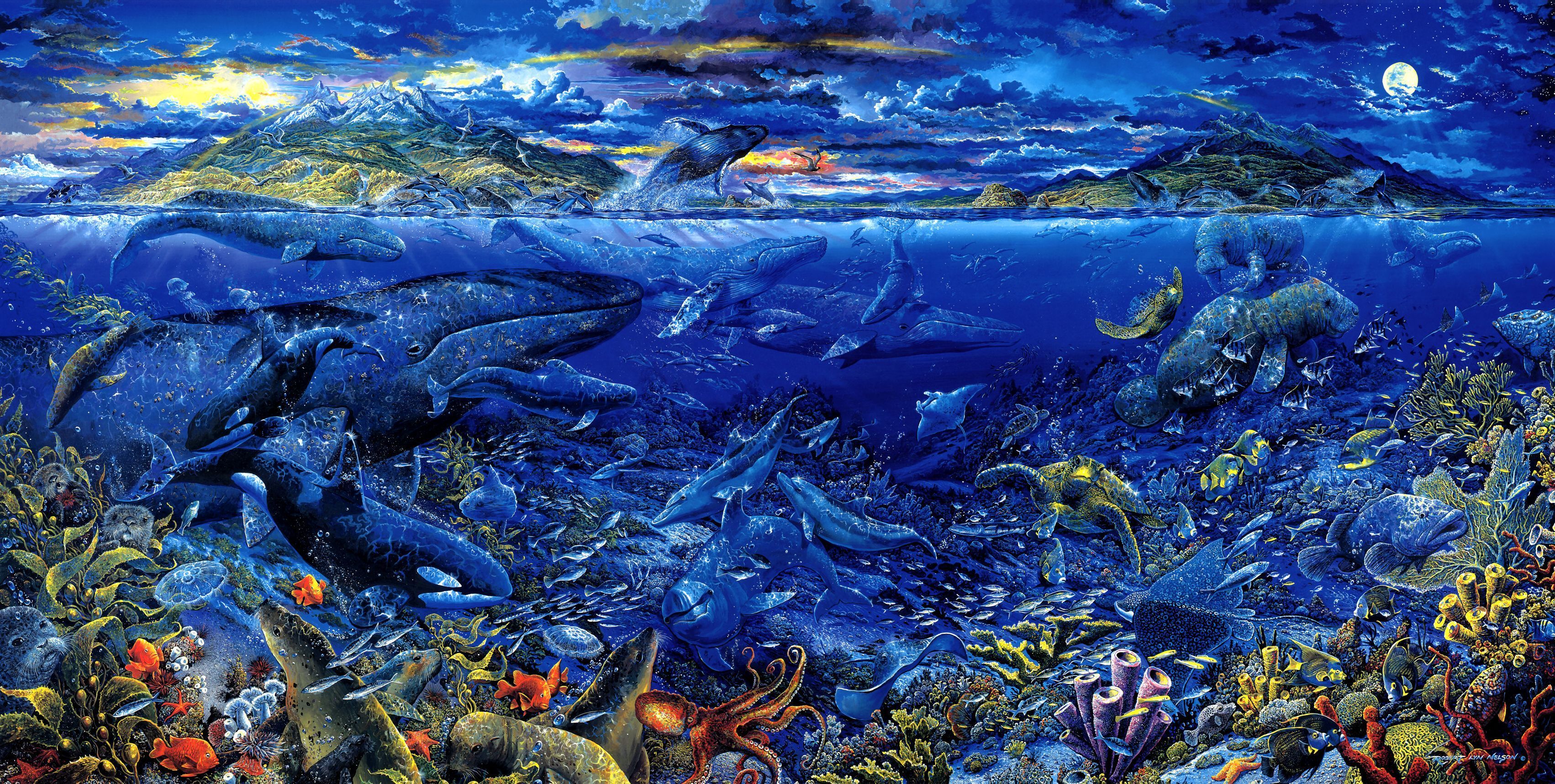 245573 скачать картинку морская жизнь, киты, животные, рыба, океан - обои и заставки бесплатно