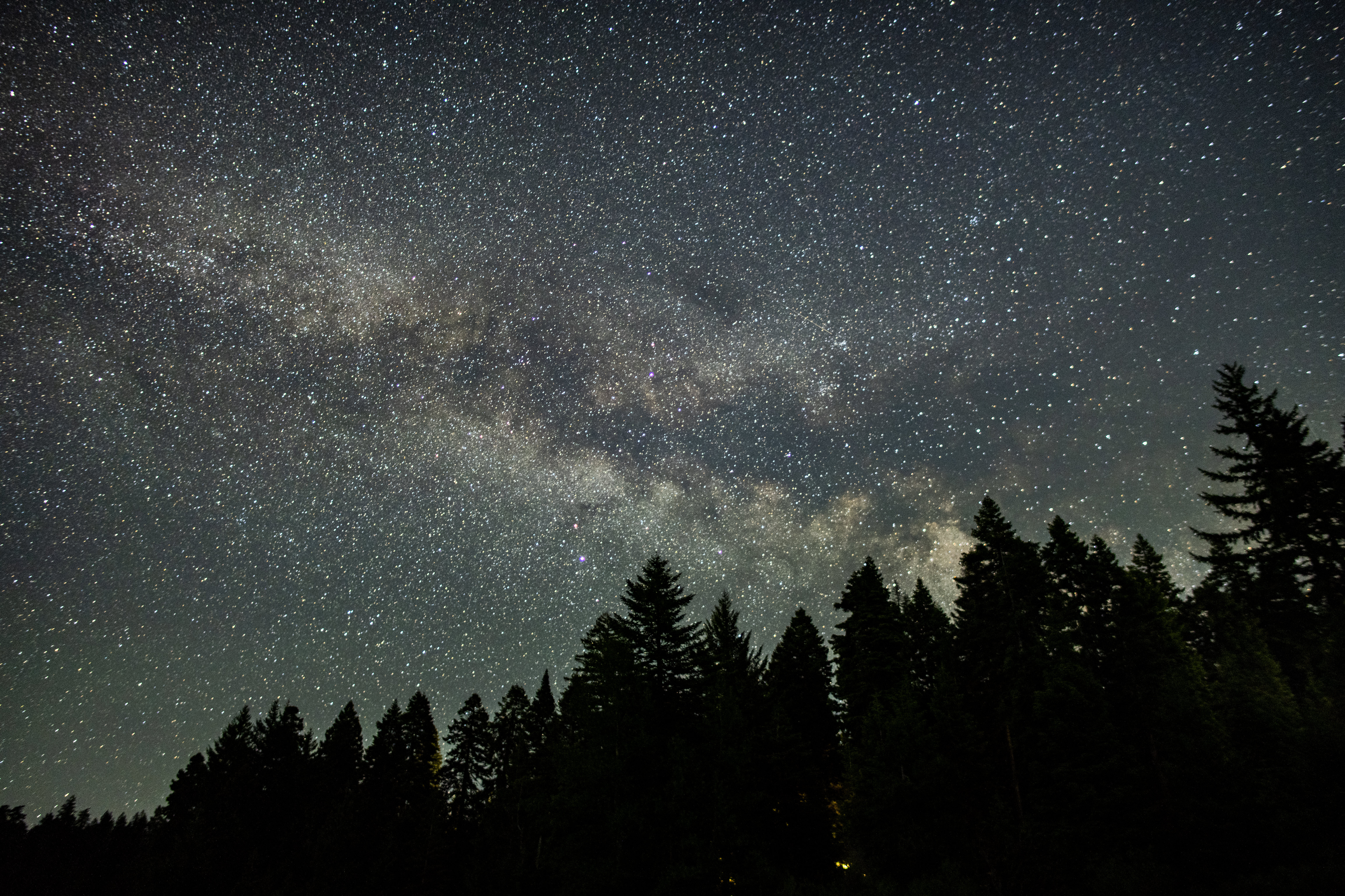 Free download wallpaper Trees, Starry Sky, Fir, Spruce, Stars, Night, Nature on your PC desktop