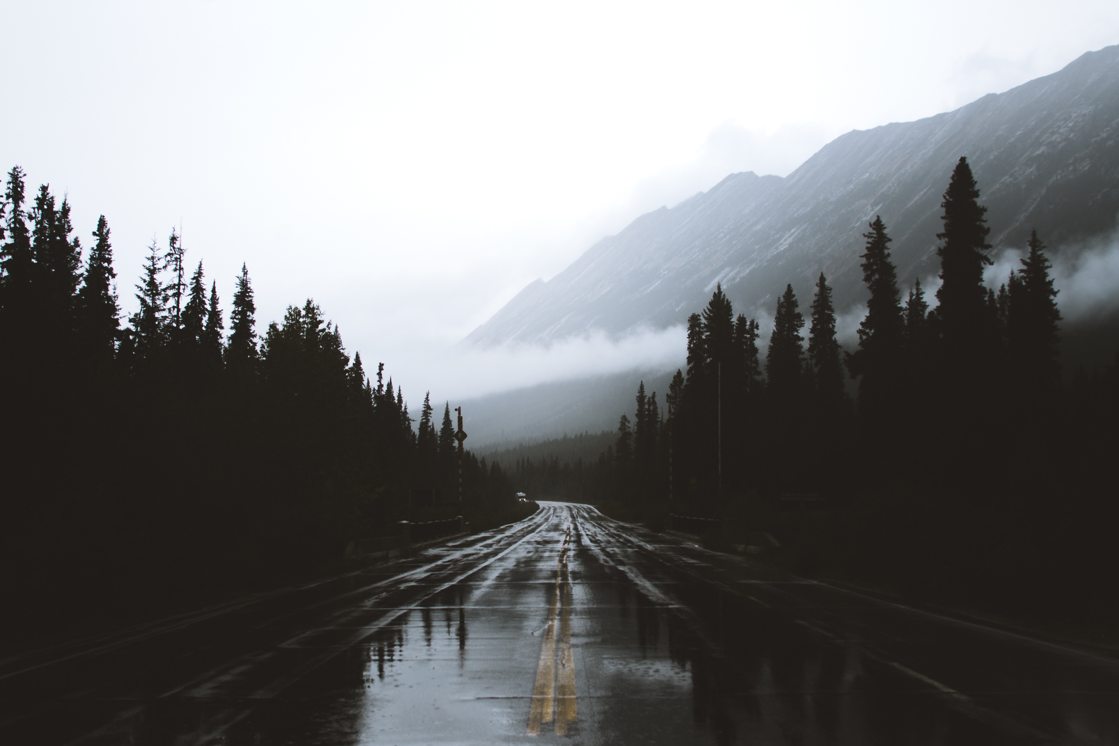 119768 завантажити картинку розмітка, гори, природа, канада, дорога, розмітки, туман, вологий, альберта - шпалери і заставки безкоштовно