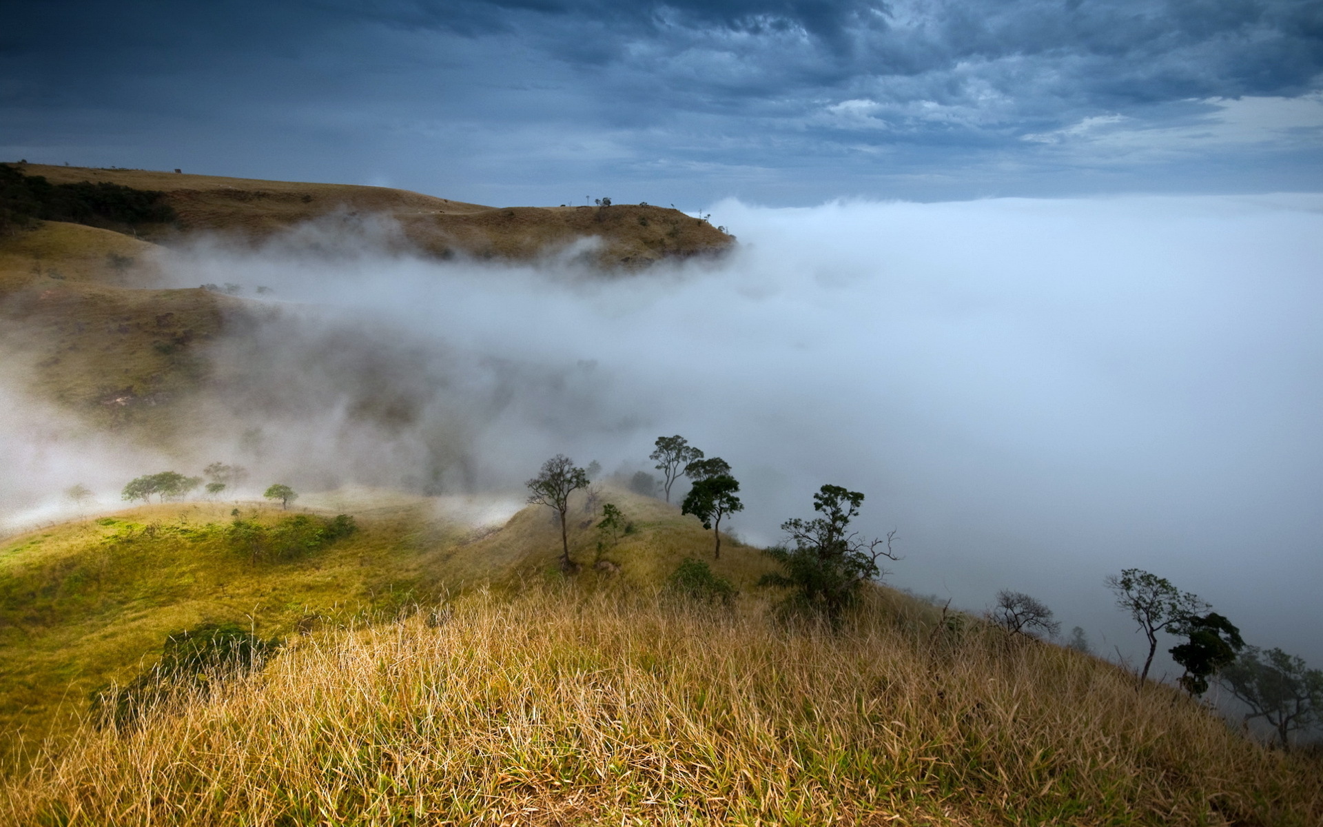 Download mobile wallpaper Landscape, Fog, Earth, Scenic for free.