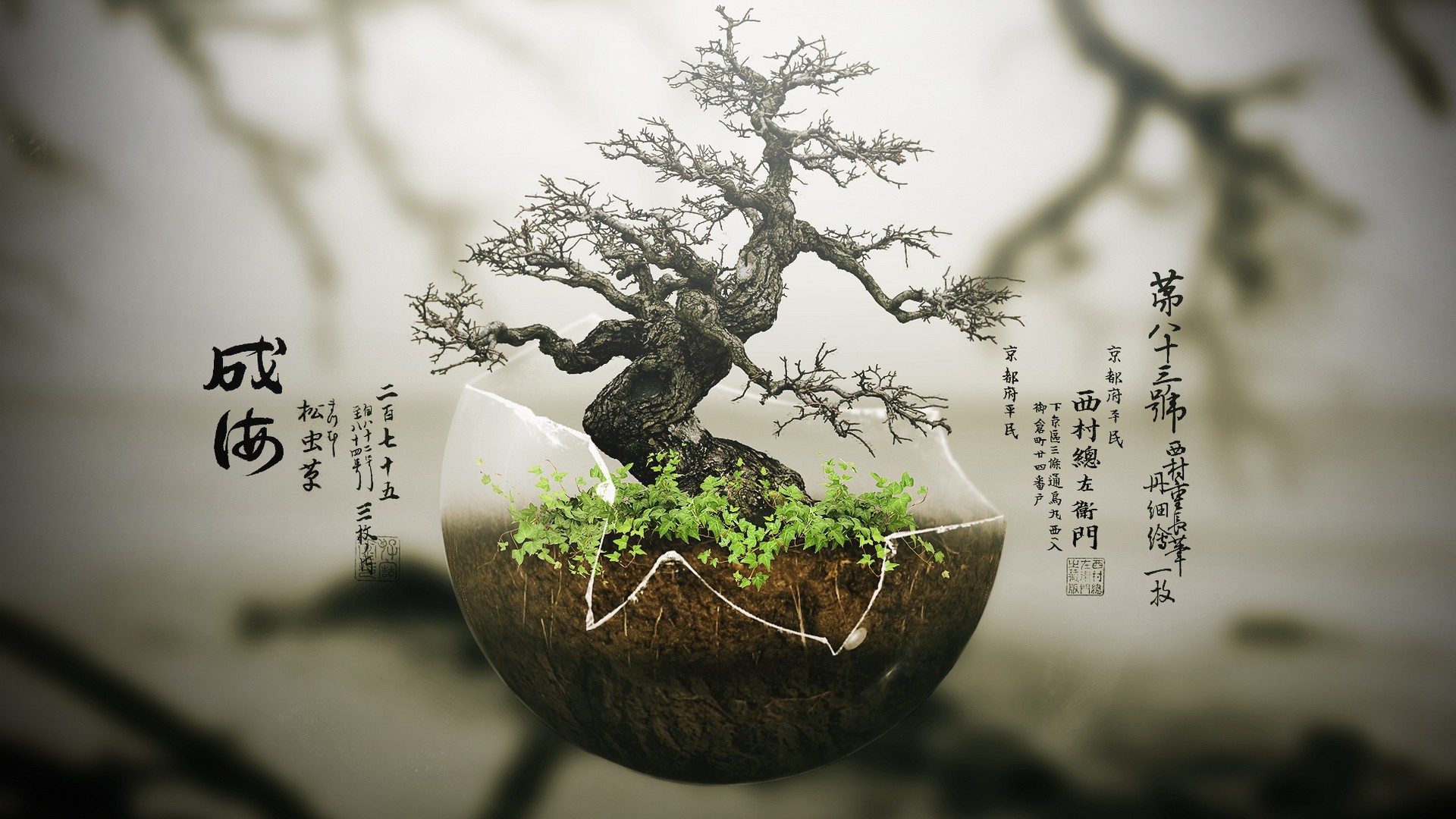 600961 Hintergrundbild herunterladen erde/natur, bonsai - Bildschirmschoner und Bilder kostenlos