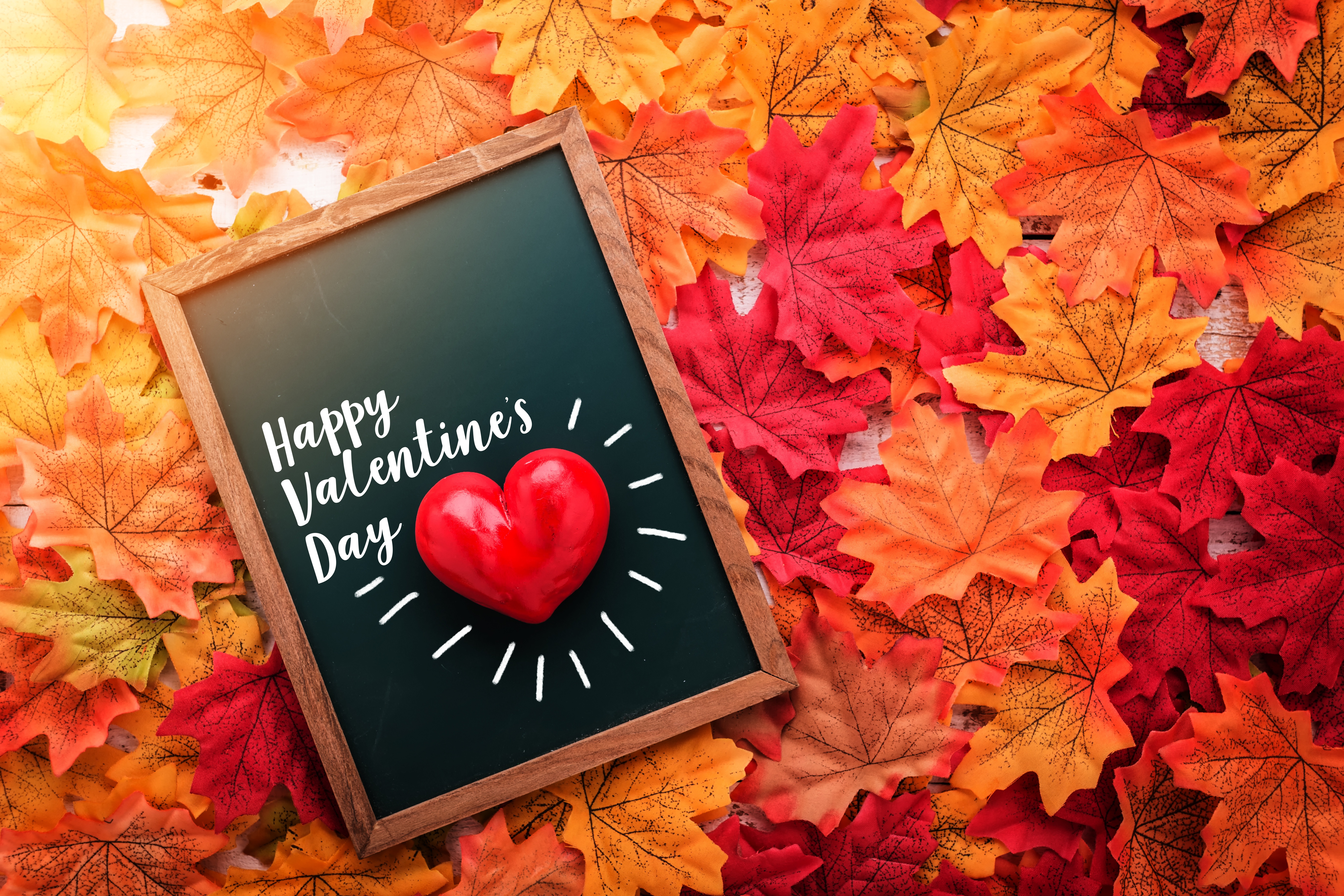 Download mobile wallpaper Valentine's Day, Holiday, Fall, Happy Valentine's Day for free.
