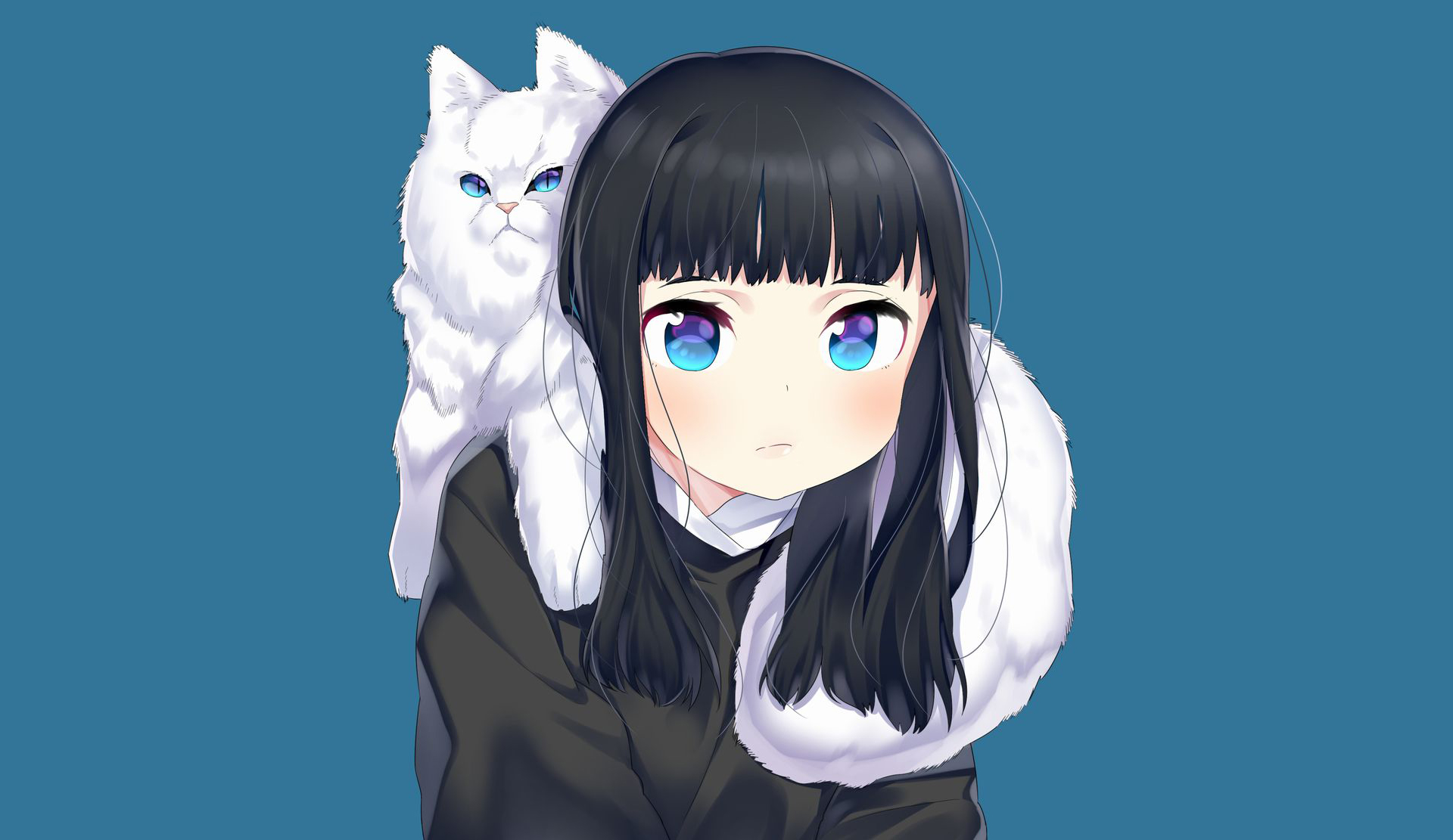 Laden Sie das Katze, Blaue Augen, Original, Animes, Schwarzes Haar-Bild kostenlos auf Ihren PC-Desktop herunter