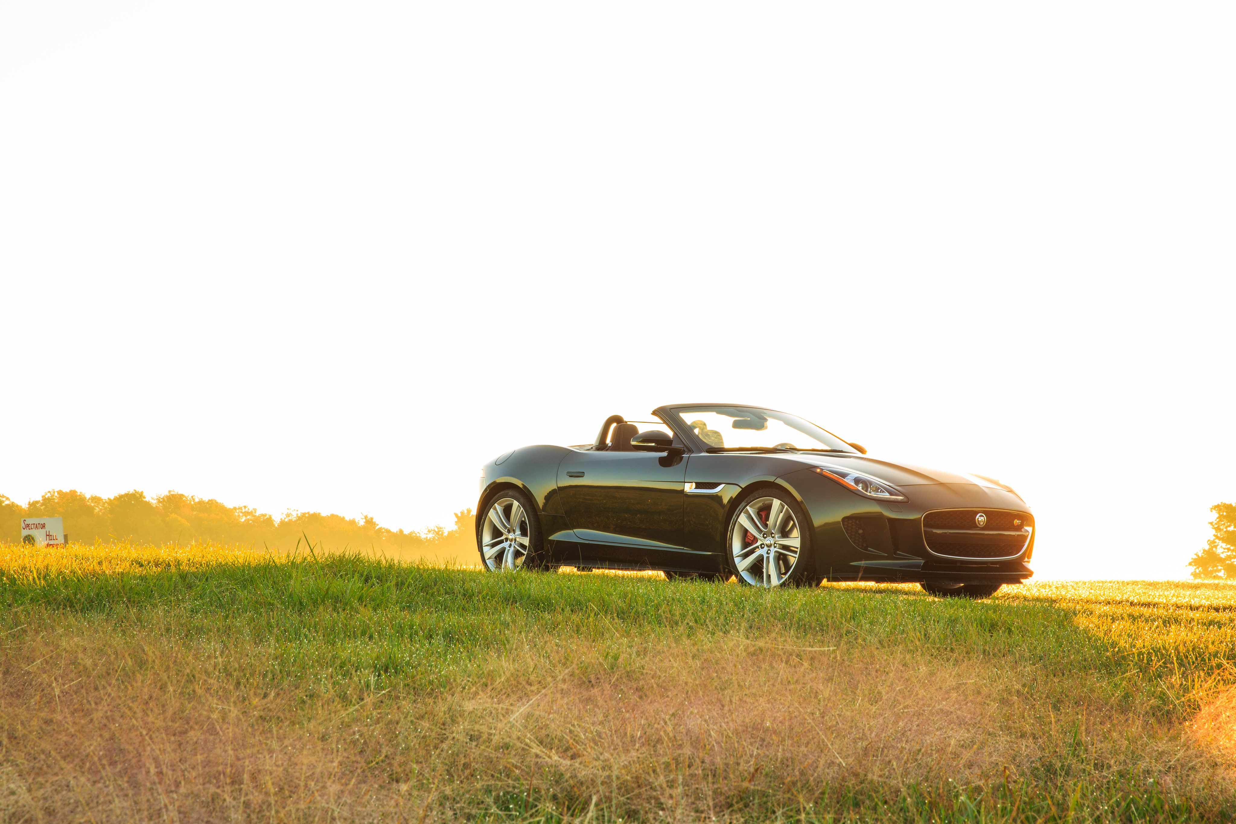 jaguar, cars, side view, cabriolet, f type, v8 s Full HD
