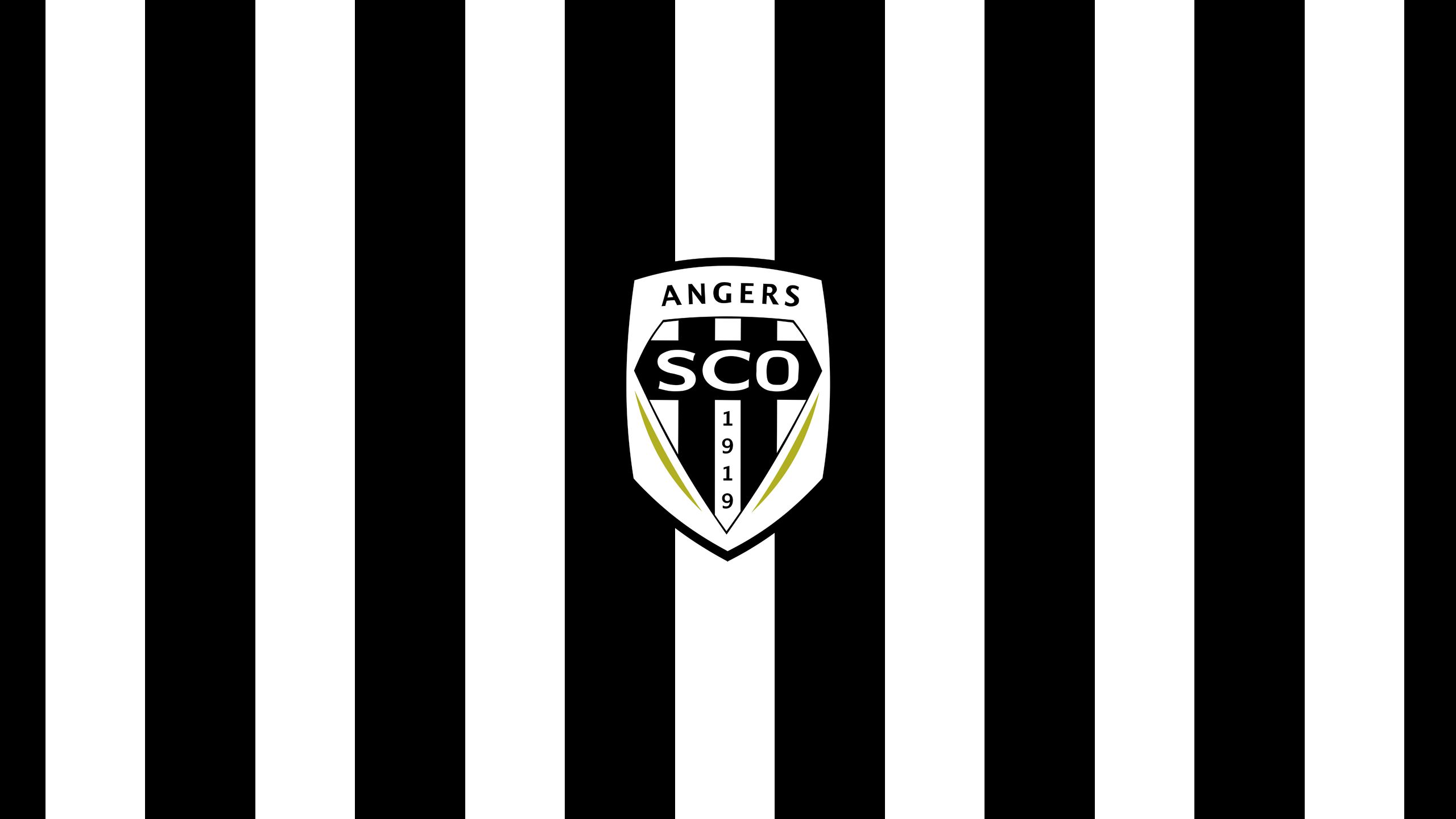 Angers Sco  8k Backgrounds