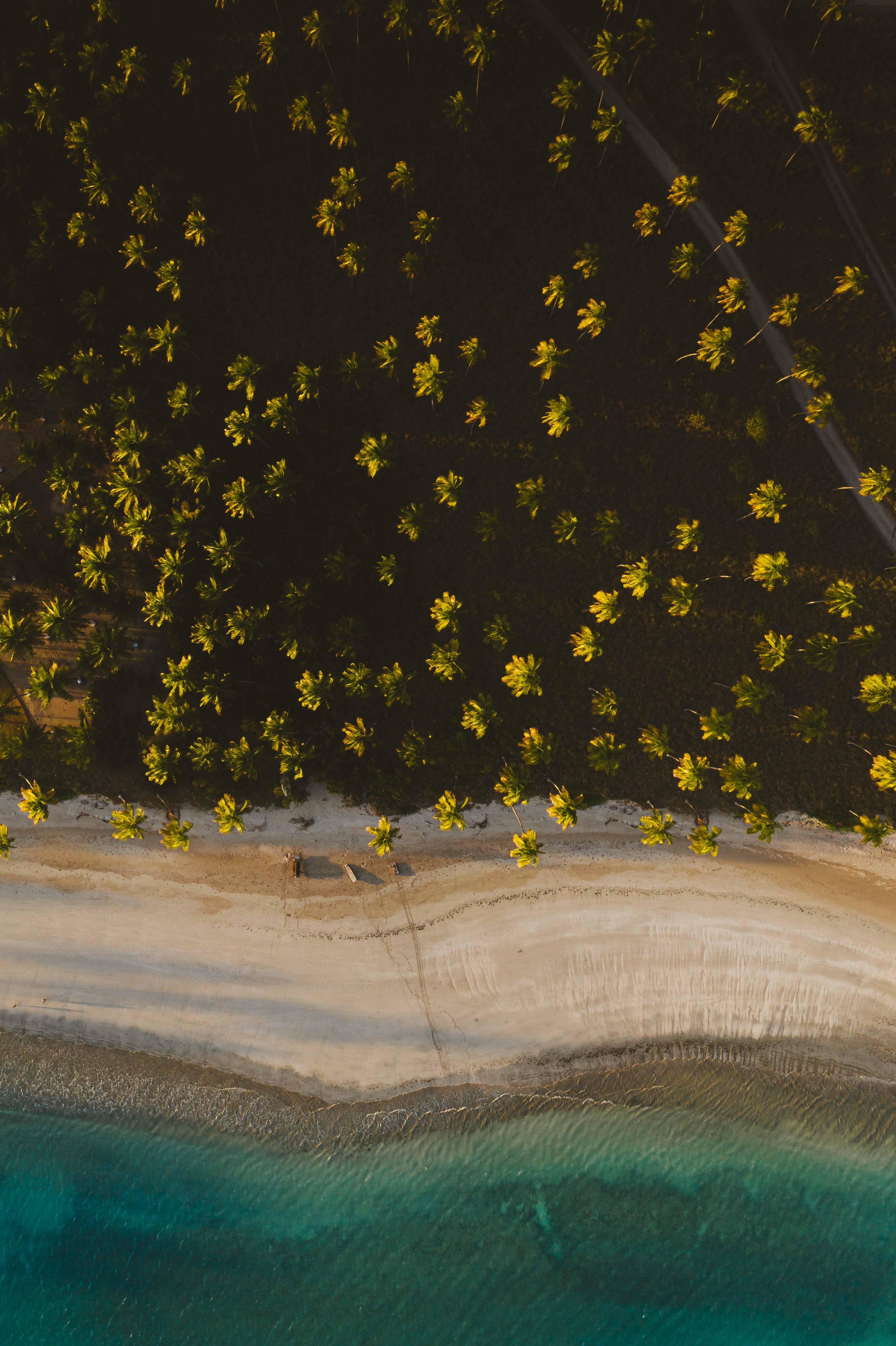 Baixe gratuitamente a imagem Natureza, Areia, Costa, Praia, Palms na área de trabalho do seu PC