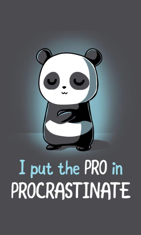 Download mobile wallpaper Funny, Panda, Statement, Humor for free.