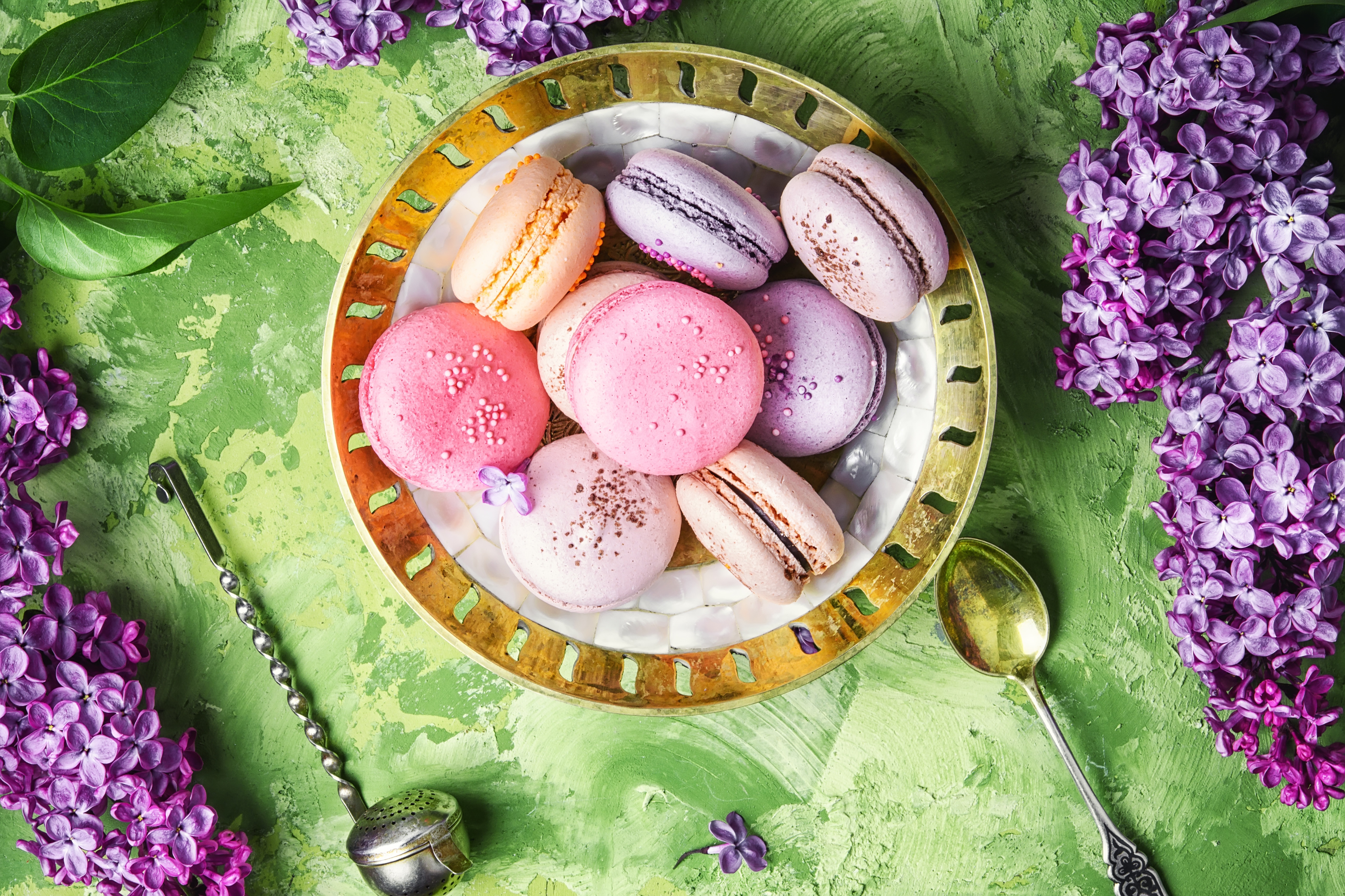Download mobile wallpaper Food, Lilac, Still Life, Flower, Macaron, Purple Flower for free.