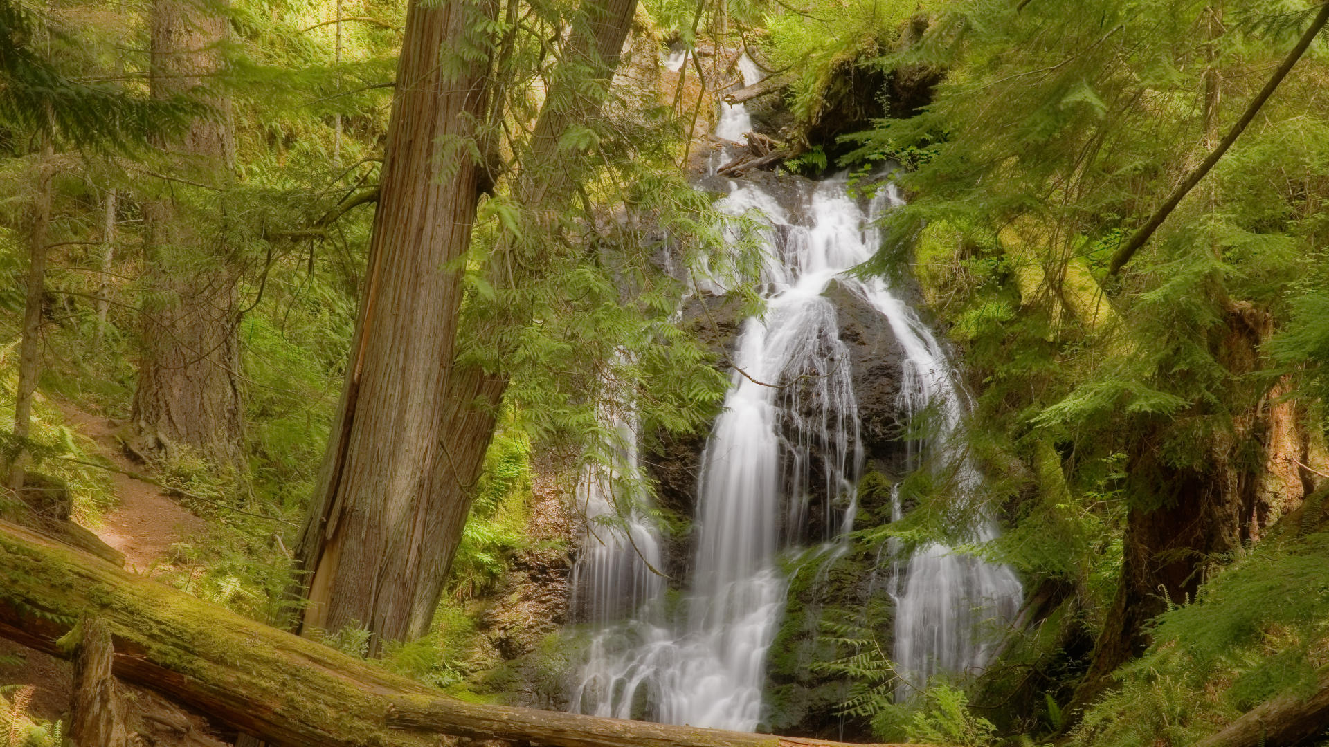Скачать обои бесплатно Водопады, Водопад, Лес, Земля/природа картинка на рабочий стол ПК
