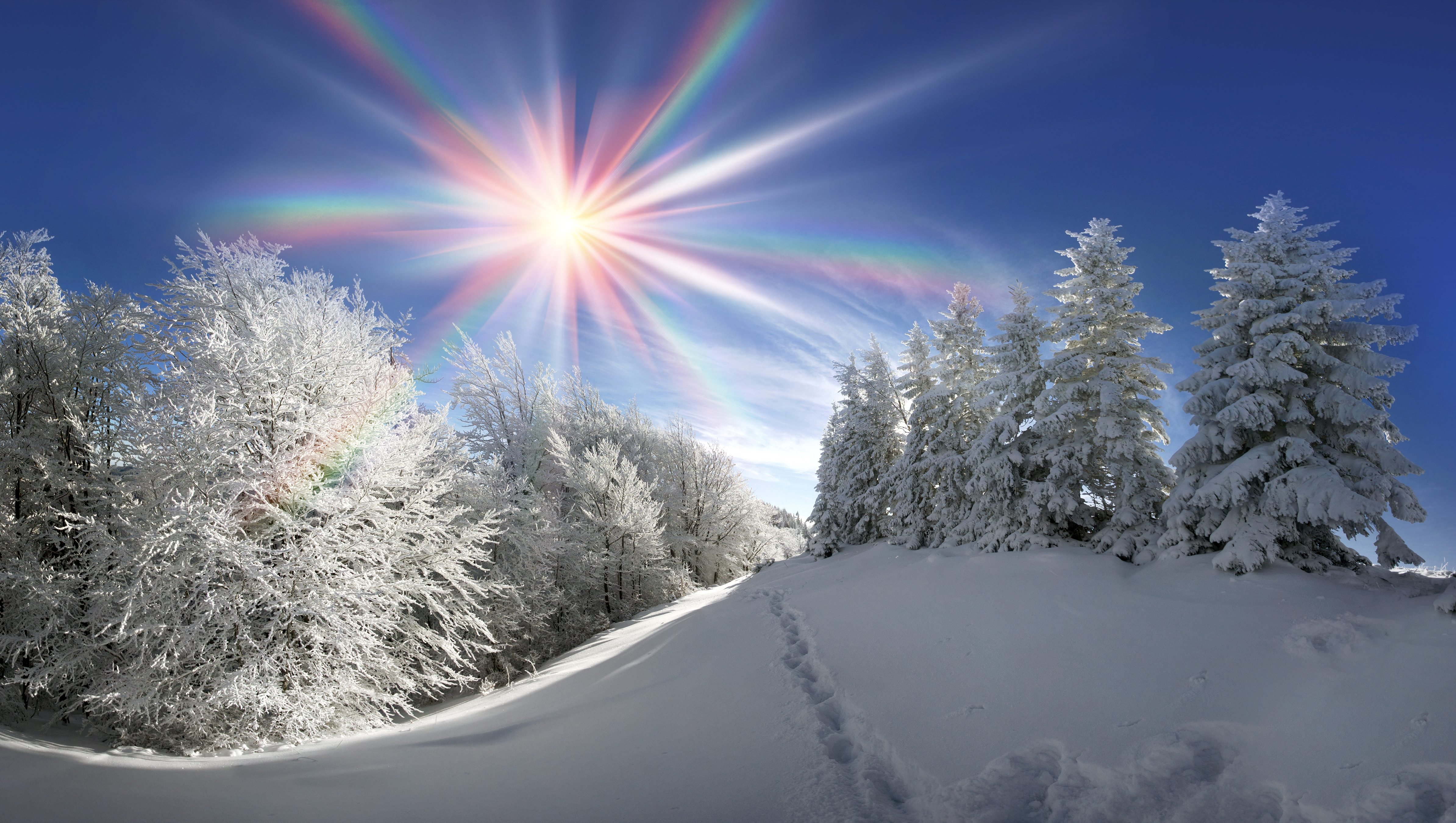 Download mobile wallpaper Winter, Sun, Snow, Forest, Earth, Sunshine for free.