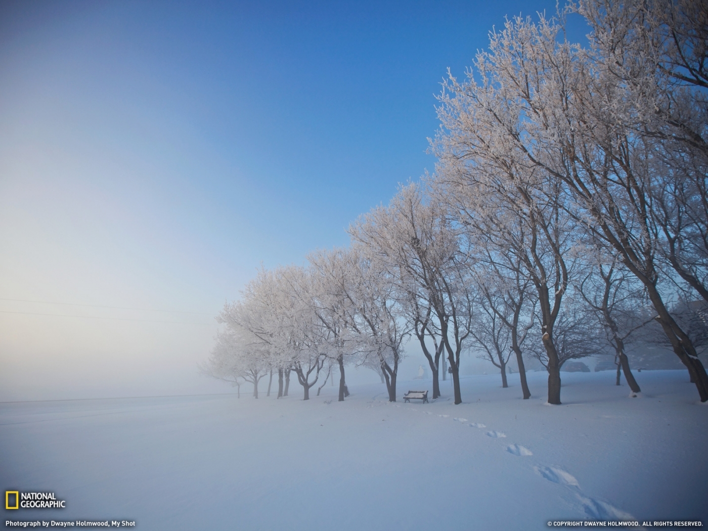 Free download wallpaper Landscape, Winter, Trees, Snow on your PC desktop
