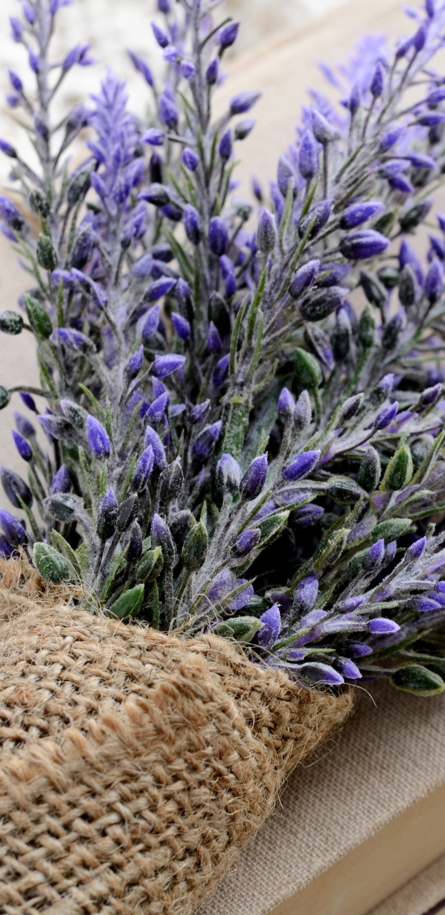 Download mobile wallpaper Still Life, Flower, Book, Lavender, Photography for free.